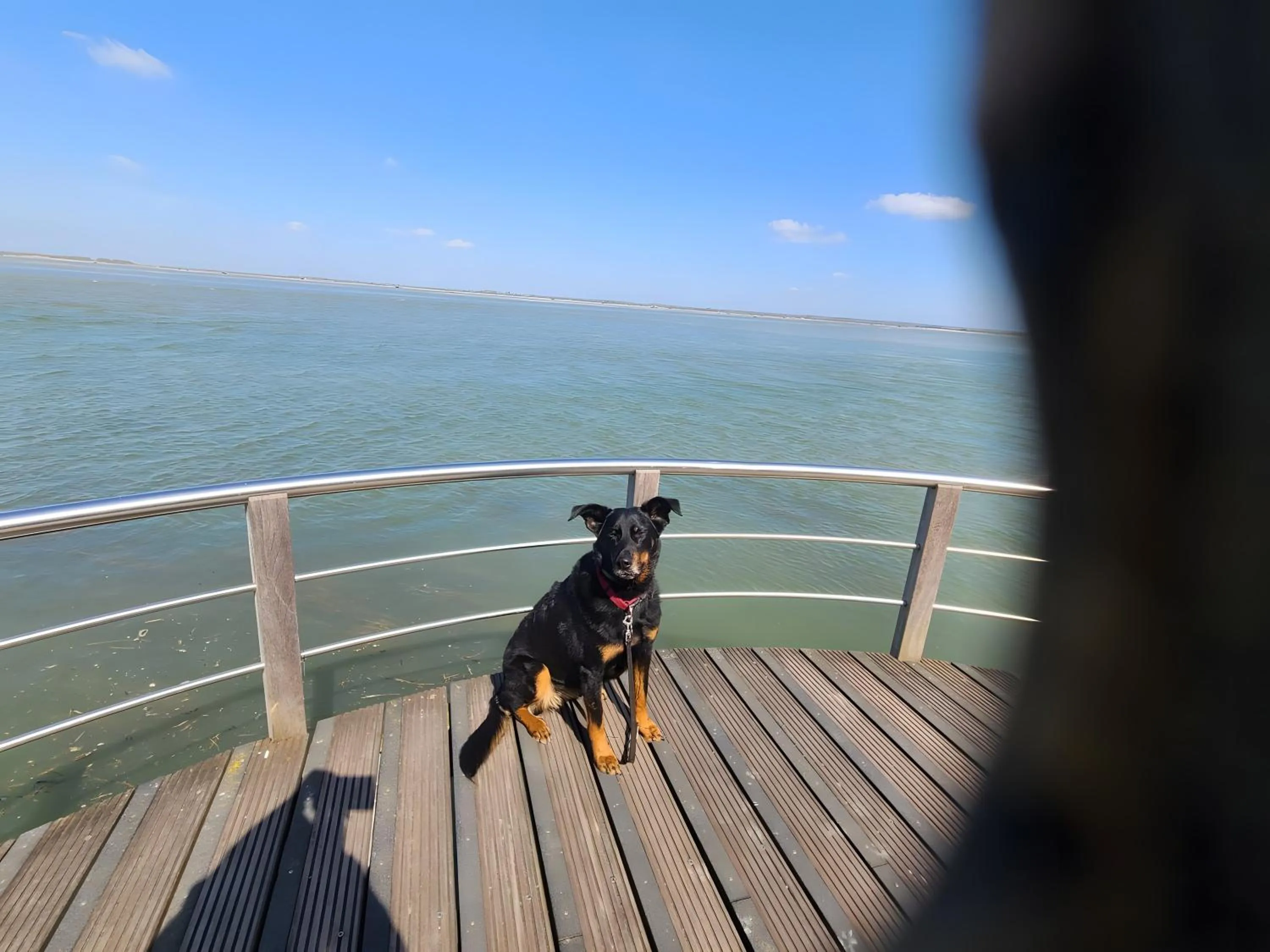 Chambre D'hôtes La Sirène - Chambre