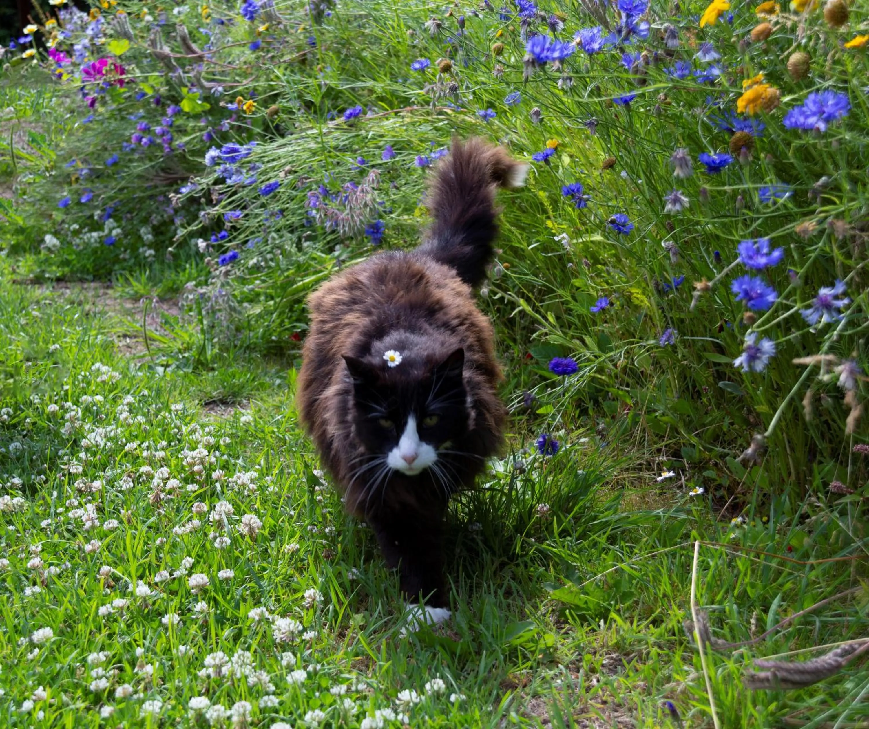 Natural landscape in Little Creek - Lodges in het natuurgebied