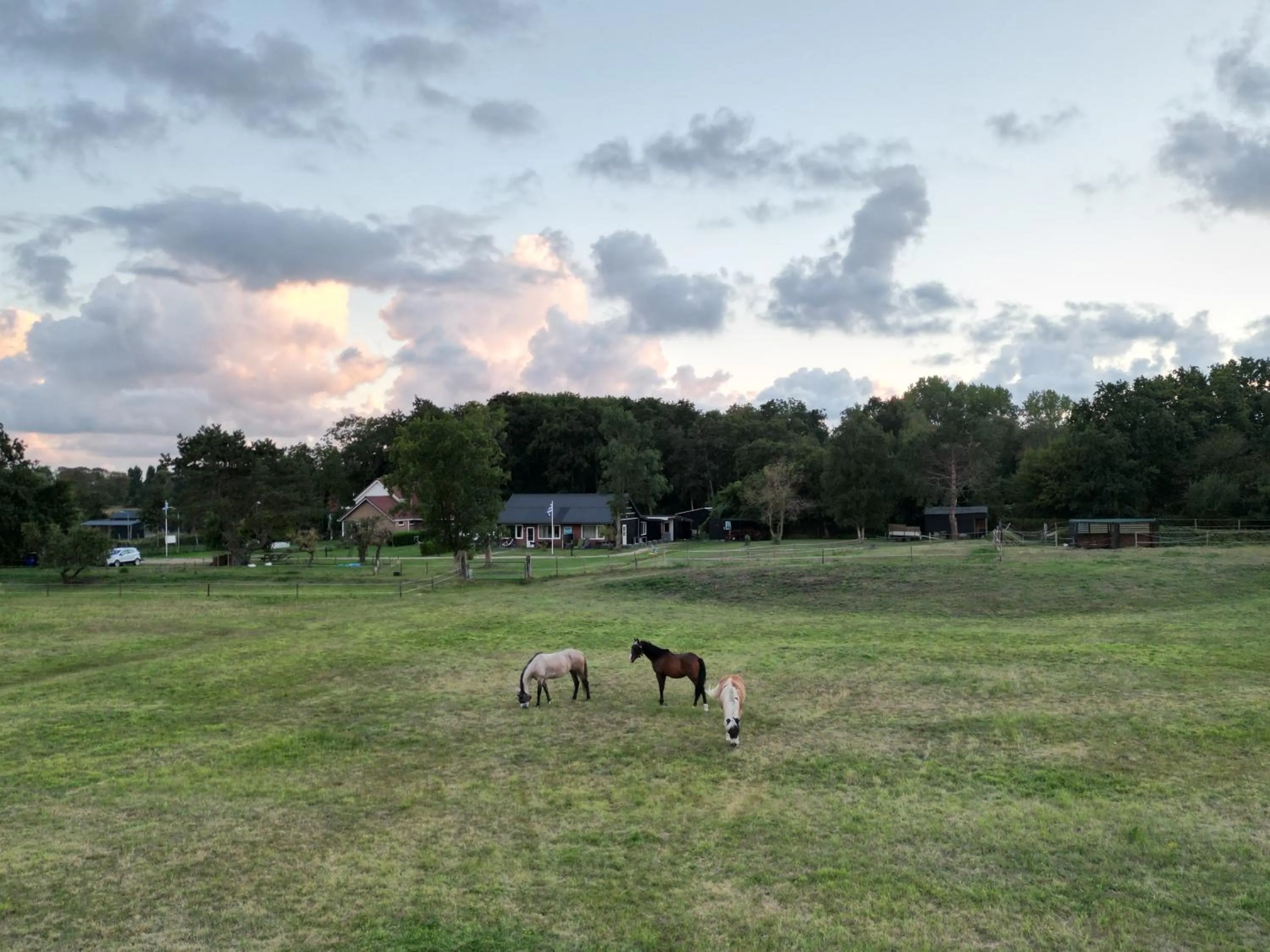 Natural landscape in Little Creek - Lodges in het natuurgebied