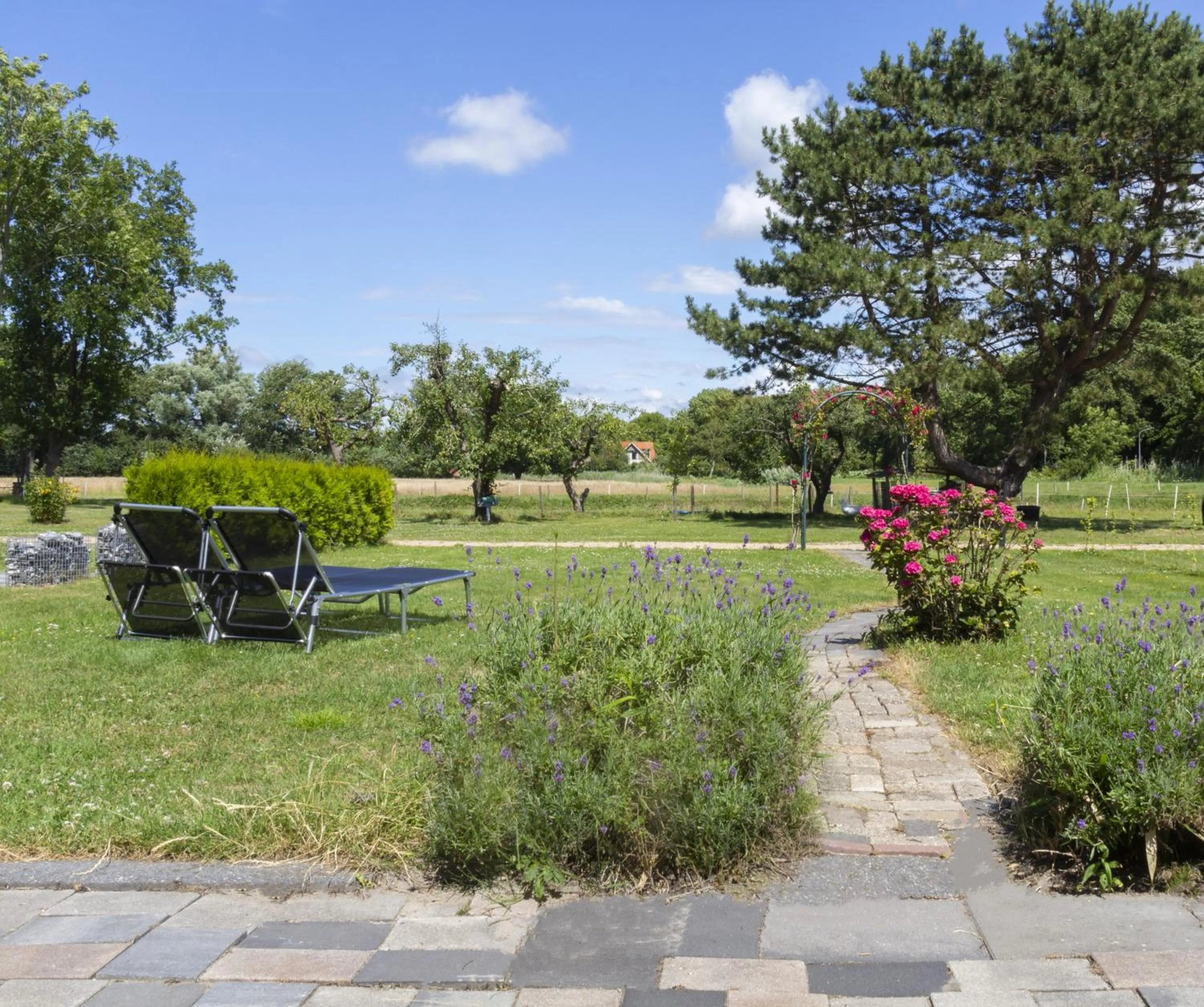 Garden in Little Creek - Lodges in het natuurgebied