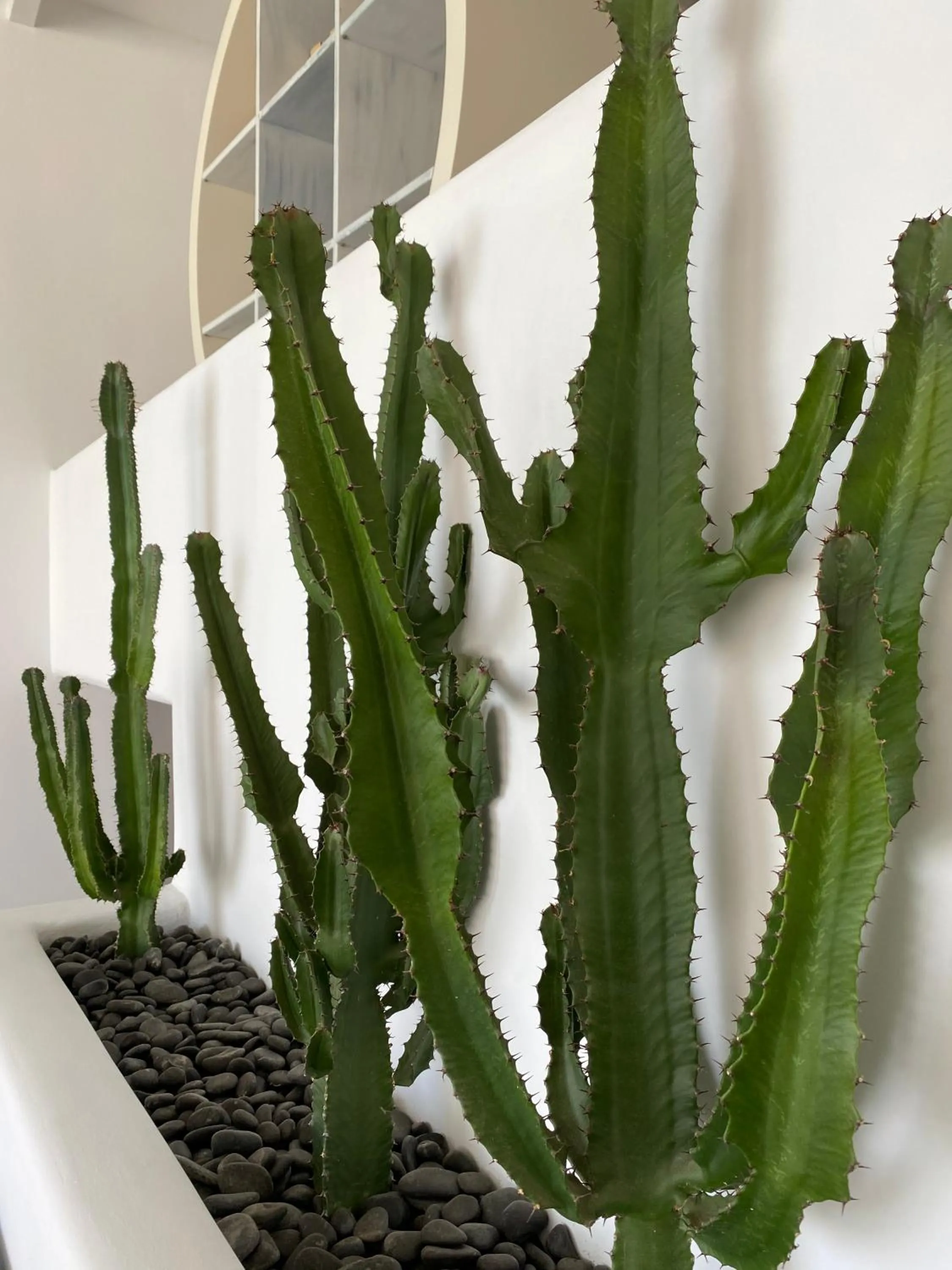 Property building in Absolute Mykonos Suites & More