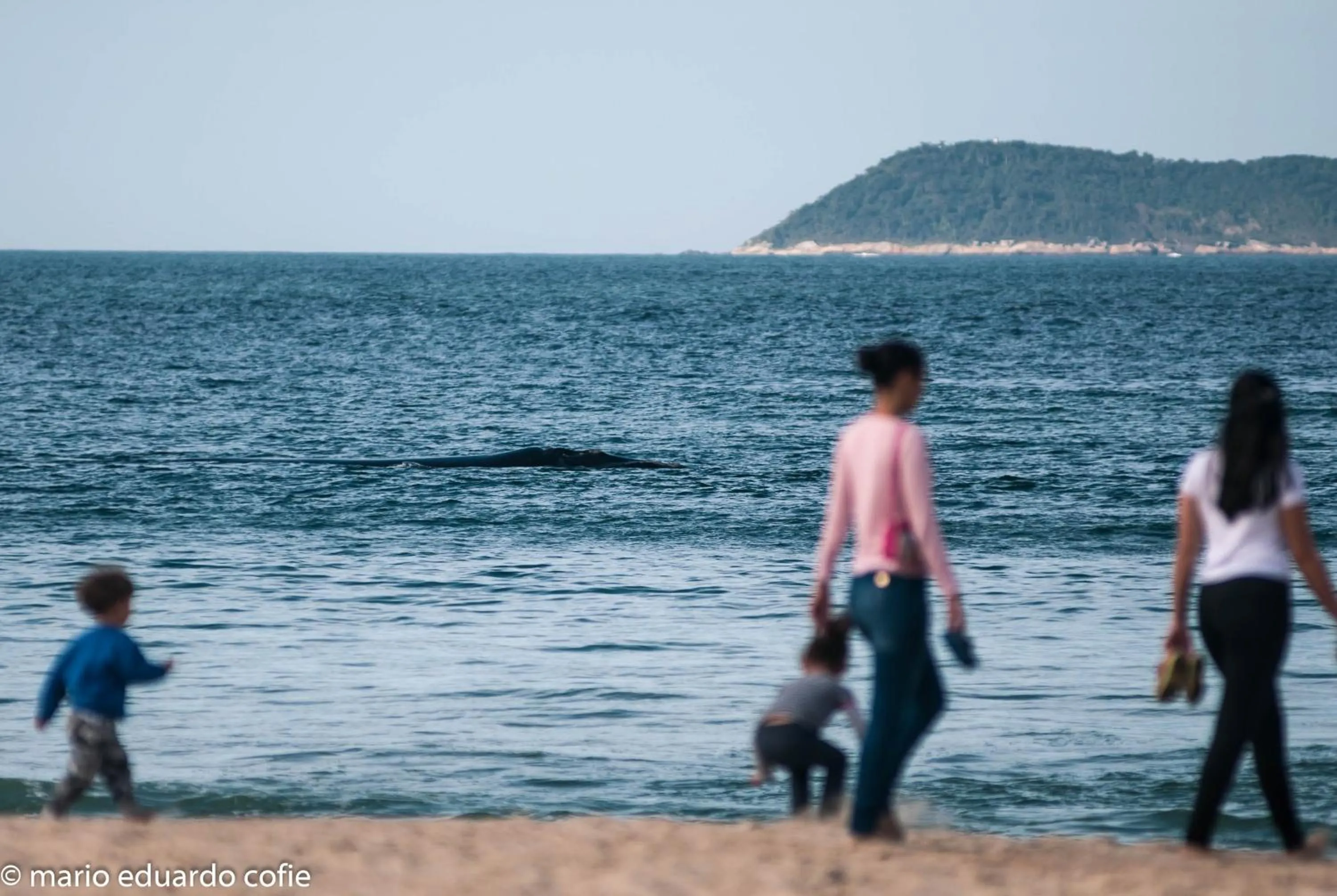 Natural landscape in Pousada Alma da Gamboa