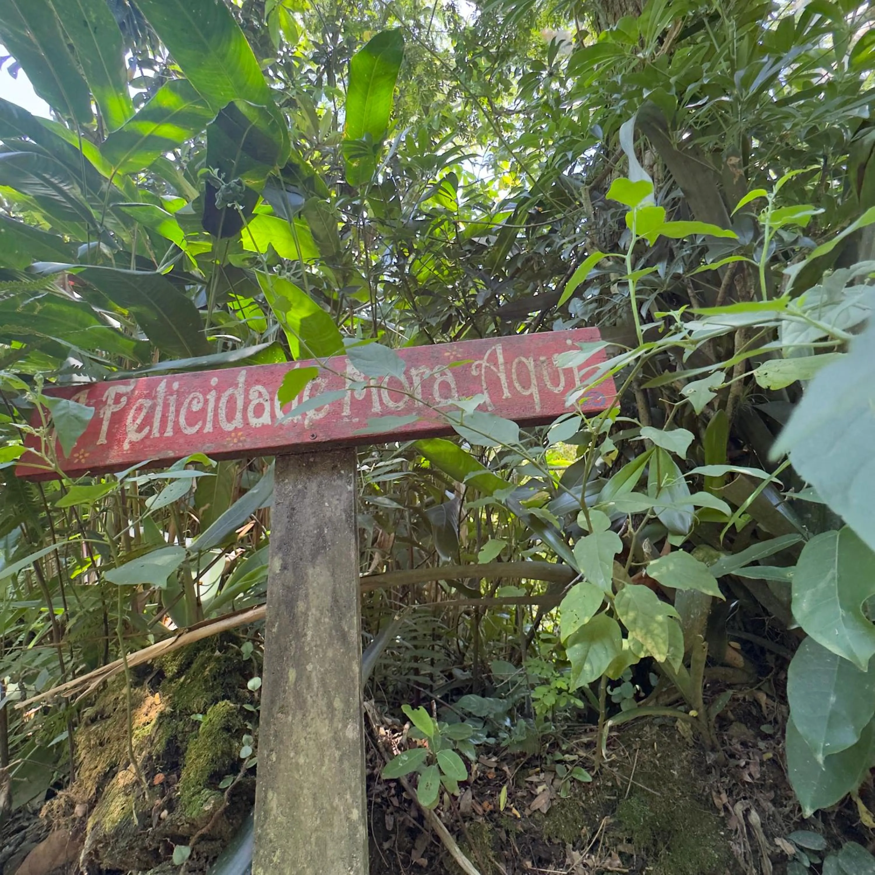 Pousada Alma da Gamboa