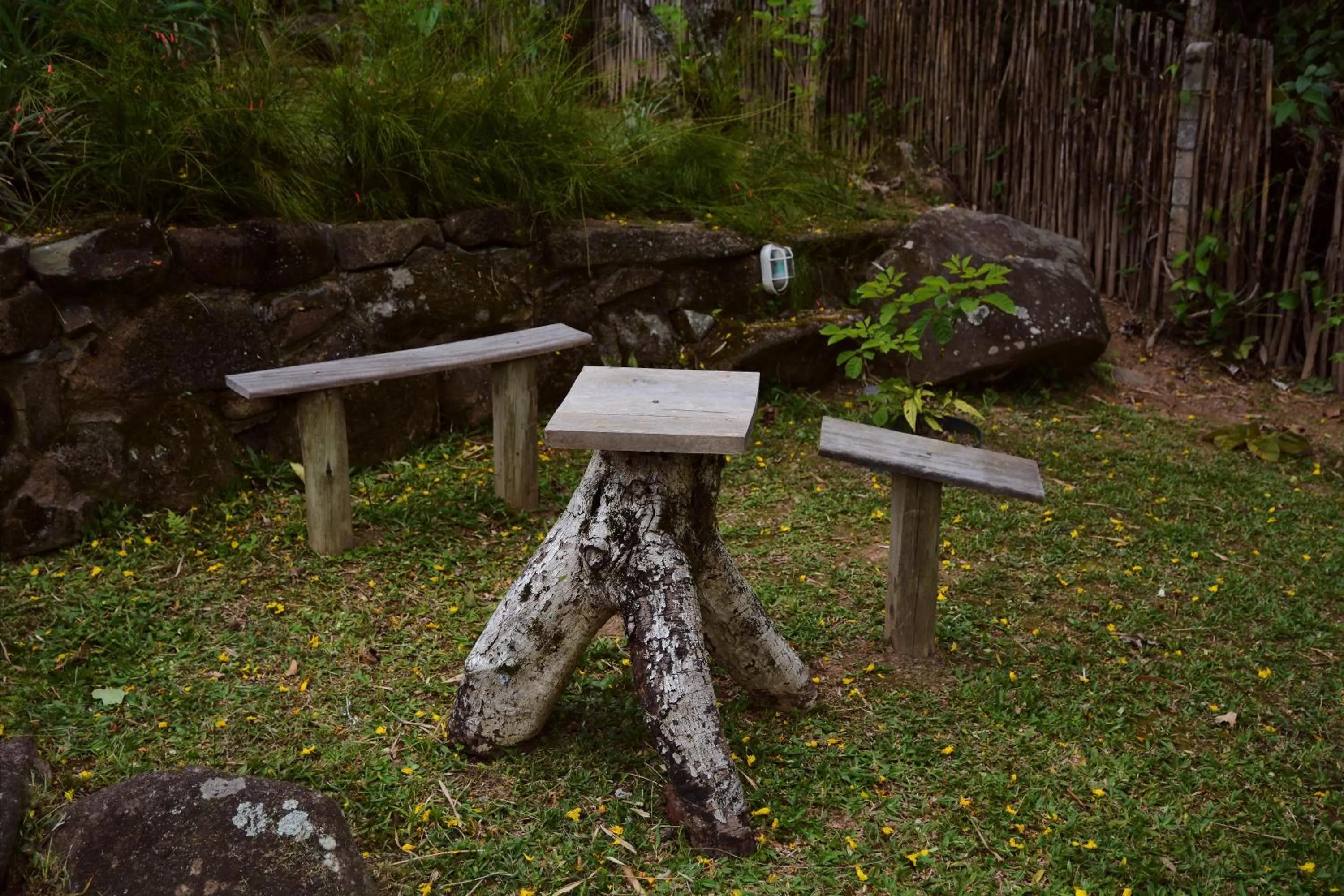 Garden in Pousada Alma da Gamboa