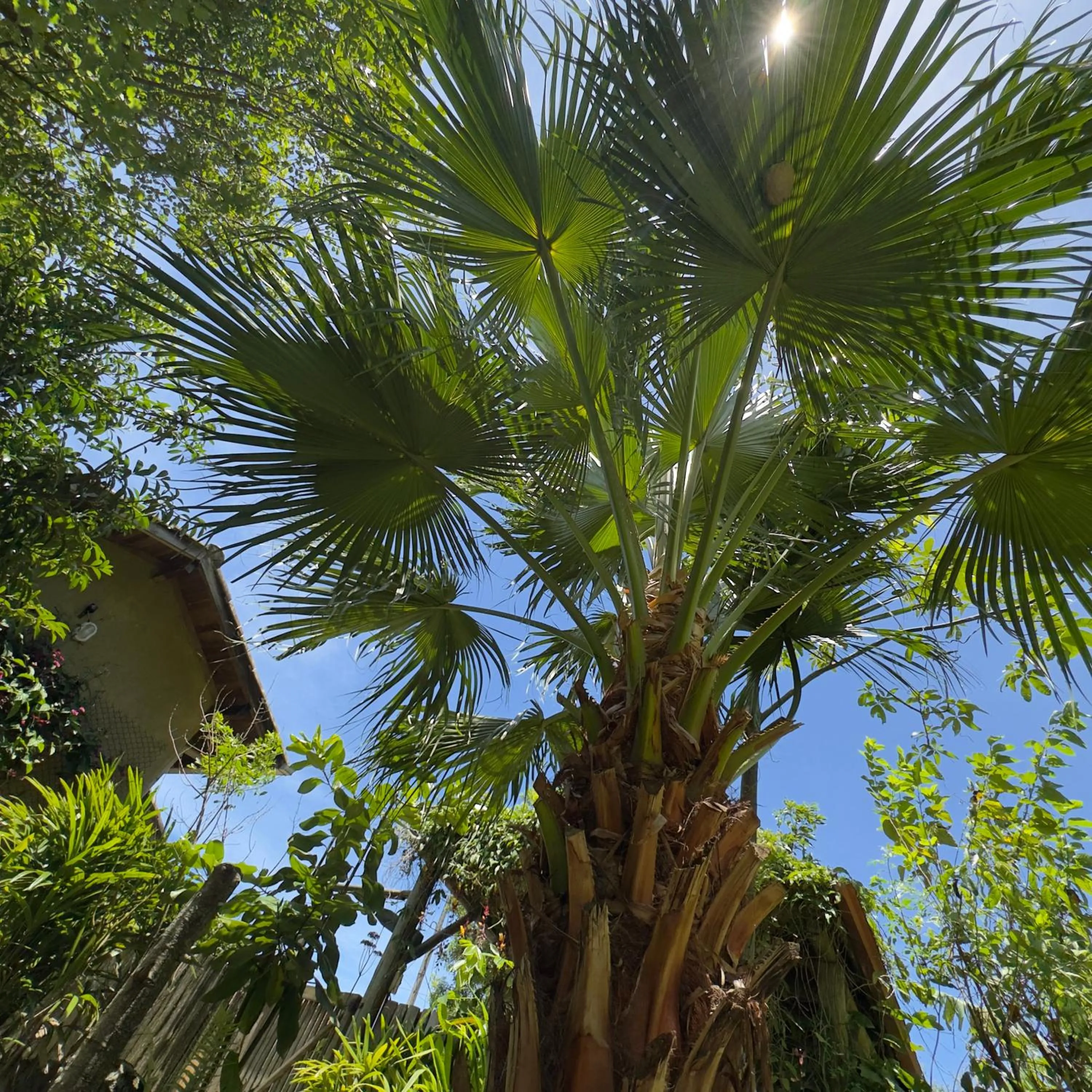 Pousada Alma da Gamboa