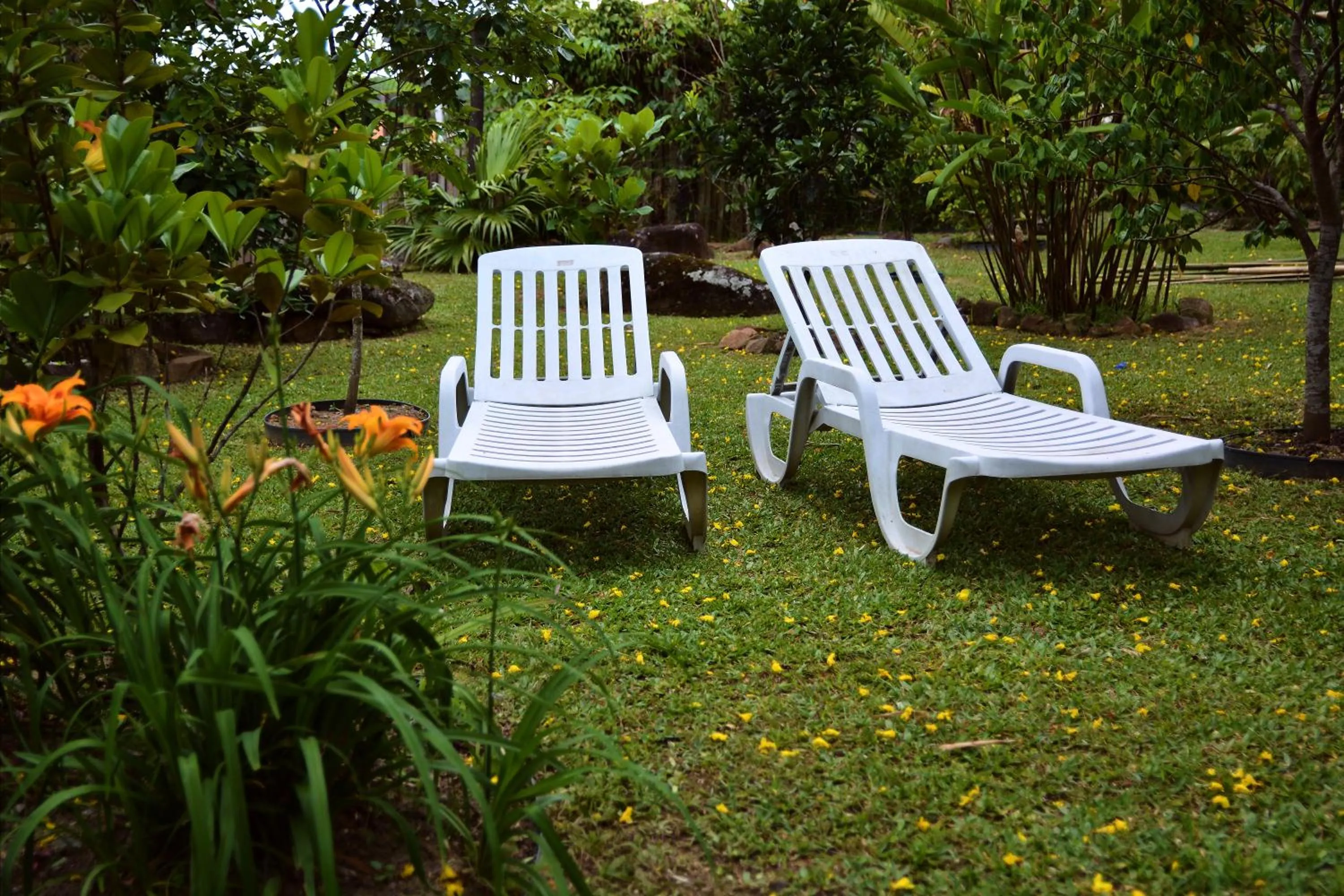 Natural landscape in Pousada Alma da Gamboa