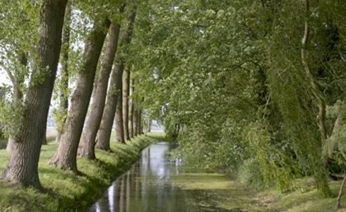 Garden view in Landhaus Gut Halte