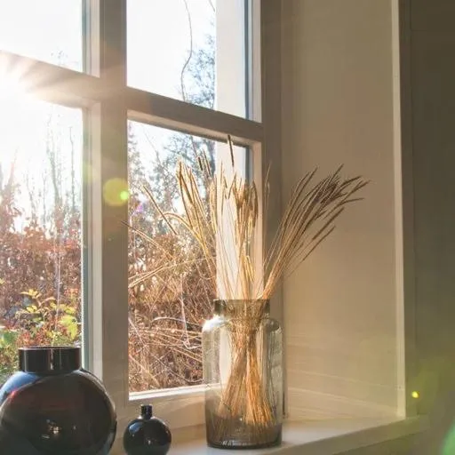Library in Landhaus Gut Halte