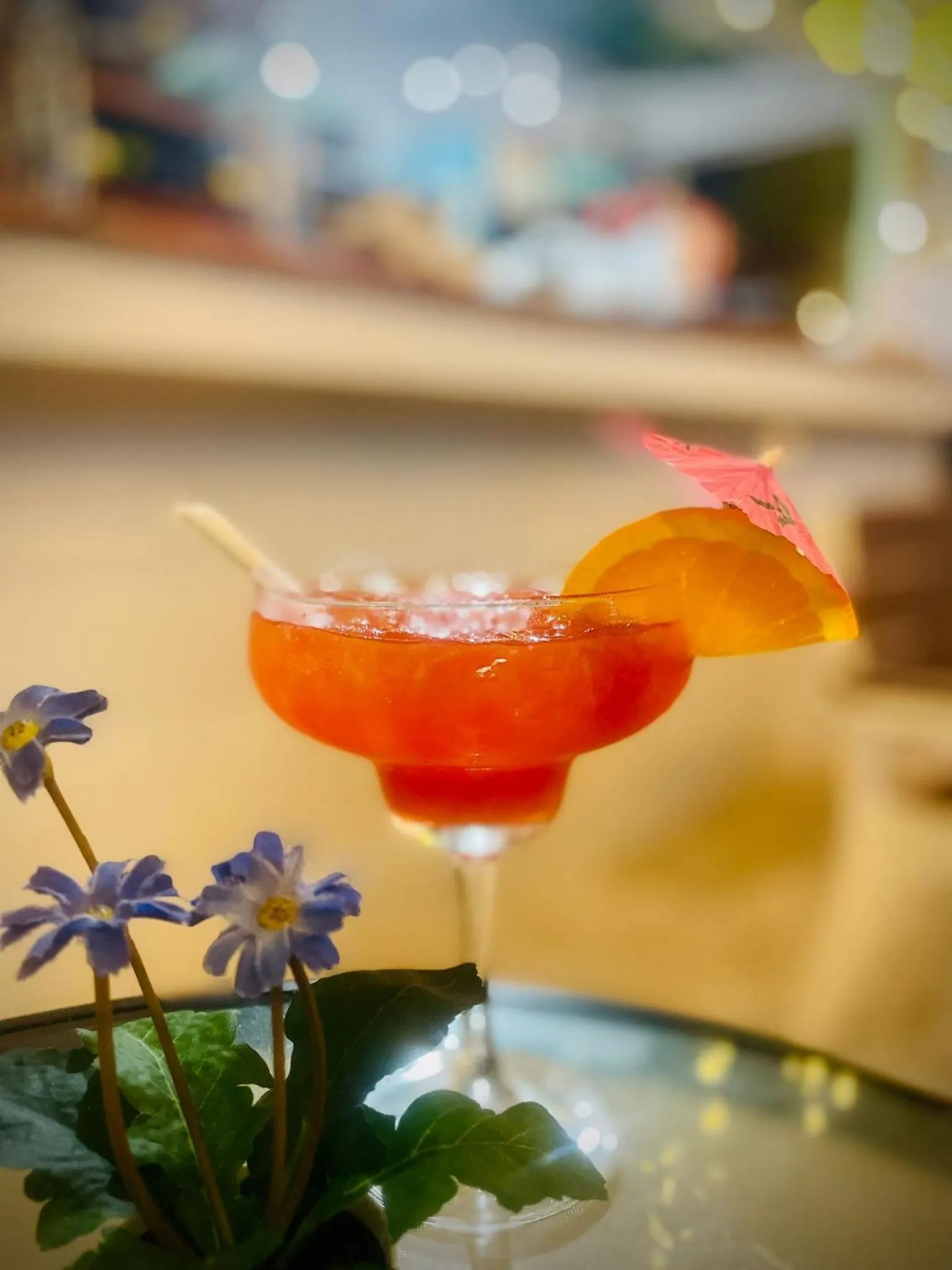 Lounge or bar in Riviera Punta Cana Eco Travelers