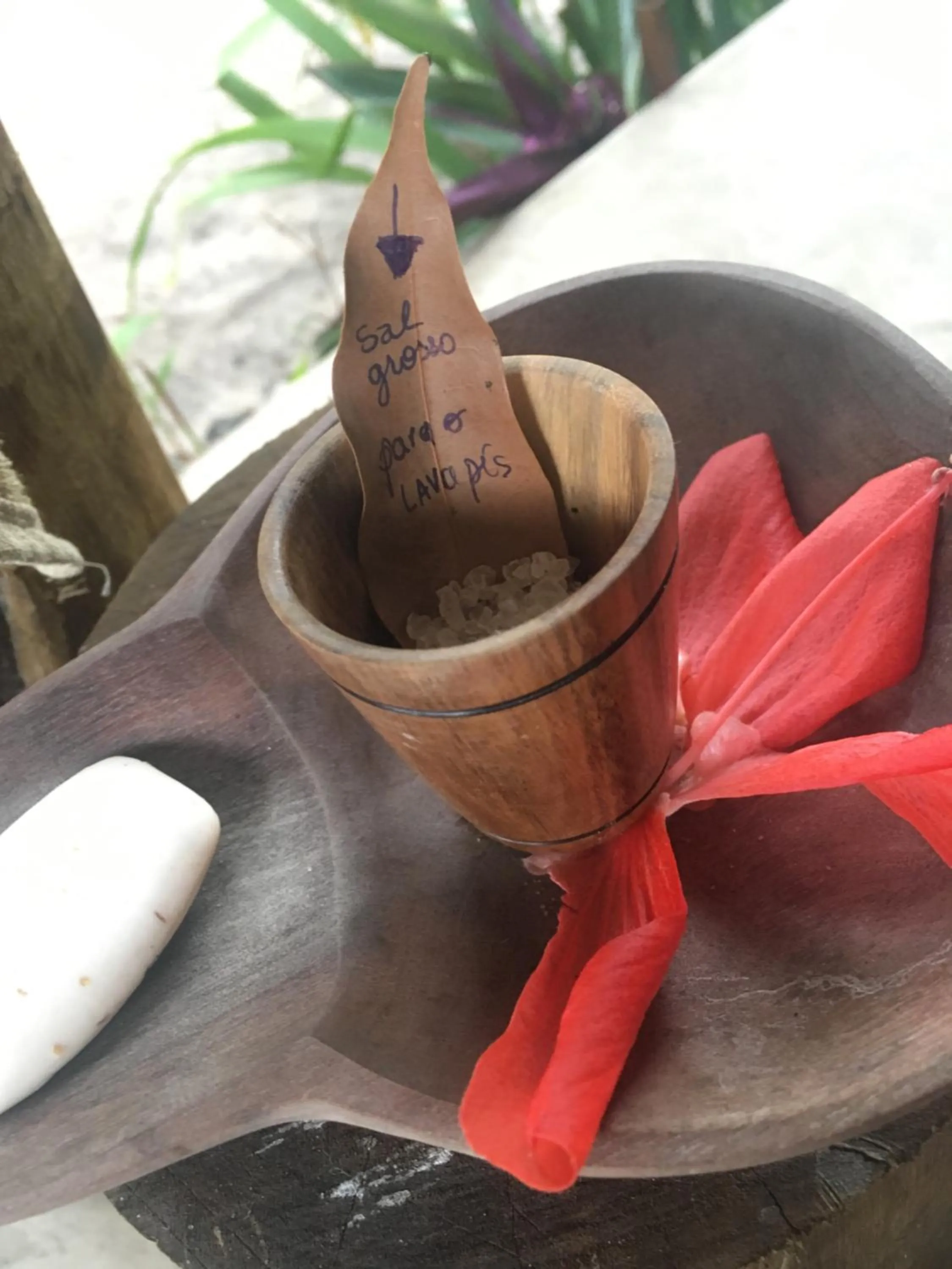 Spa and wellness centre/facilities in Pousada Spa Oasis