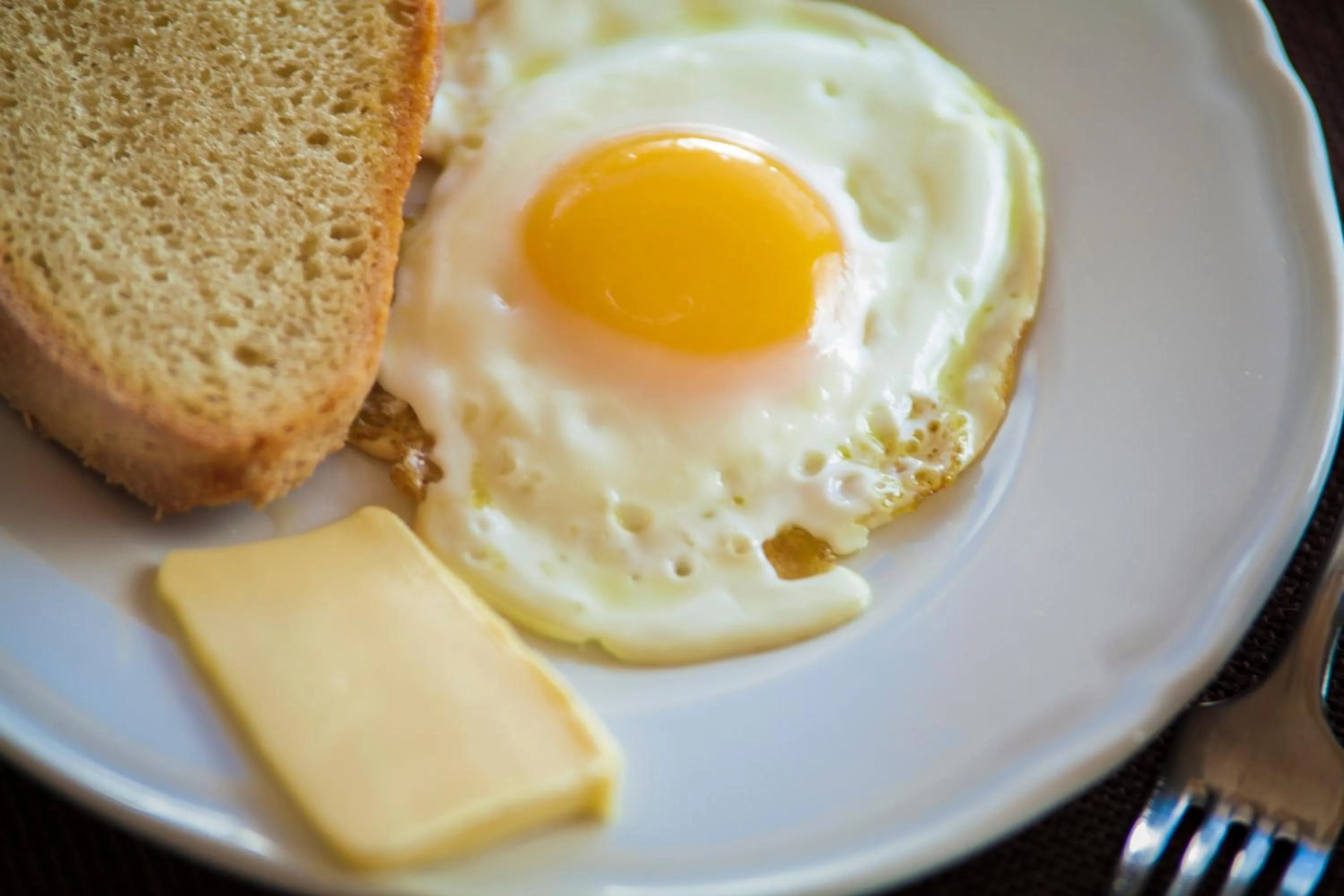 Food close-up in Regina di Ulivi