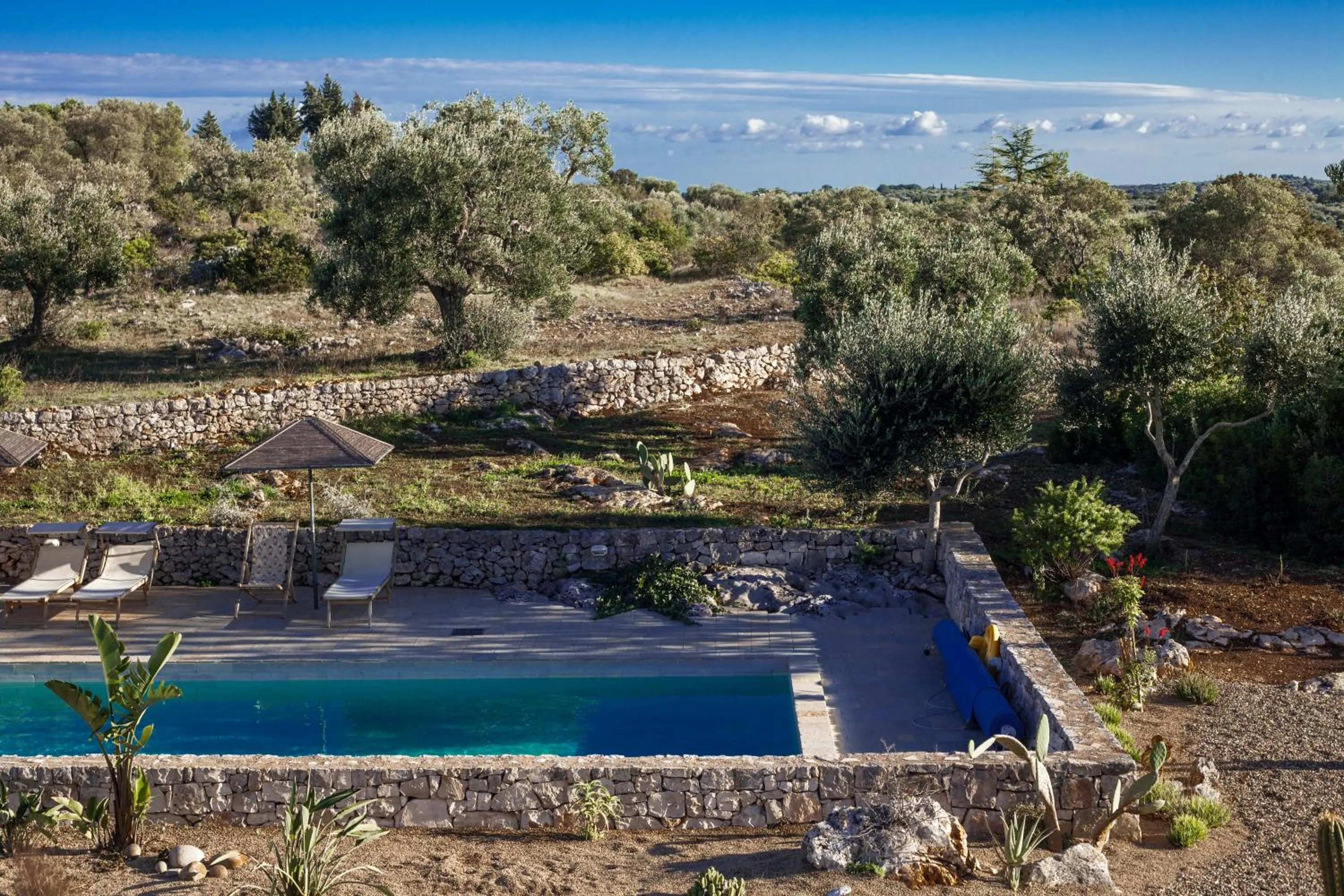 Swimming pool in Regina di Ulivi