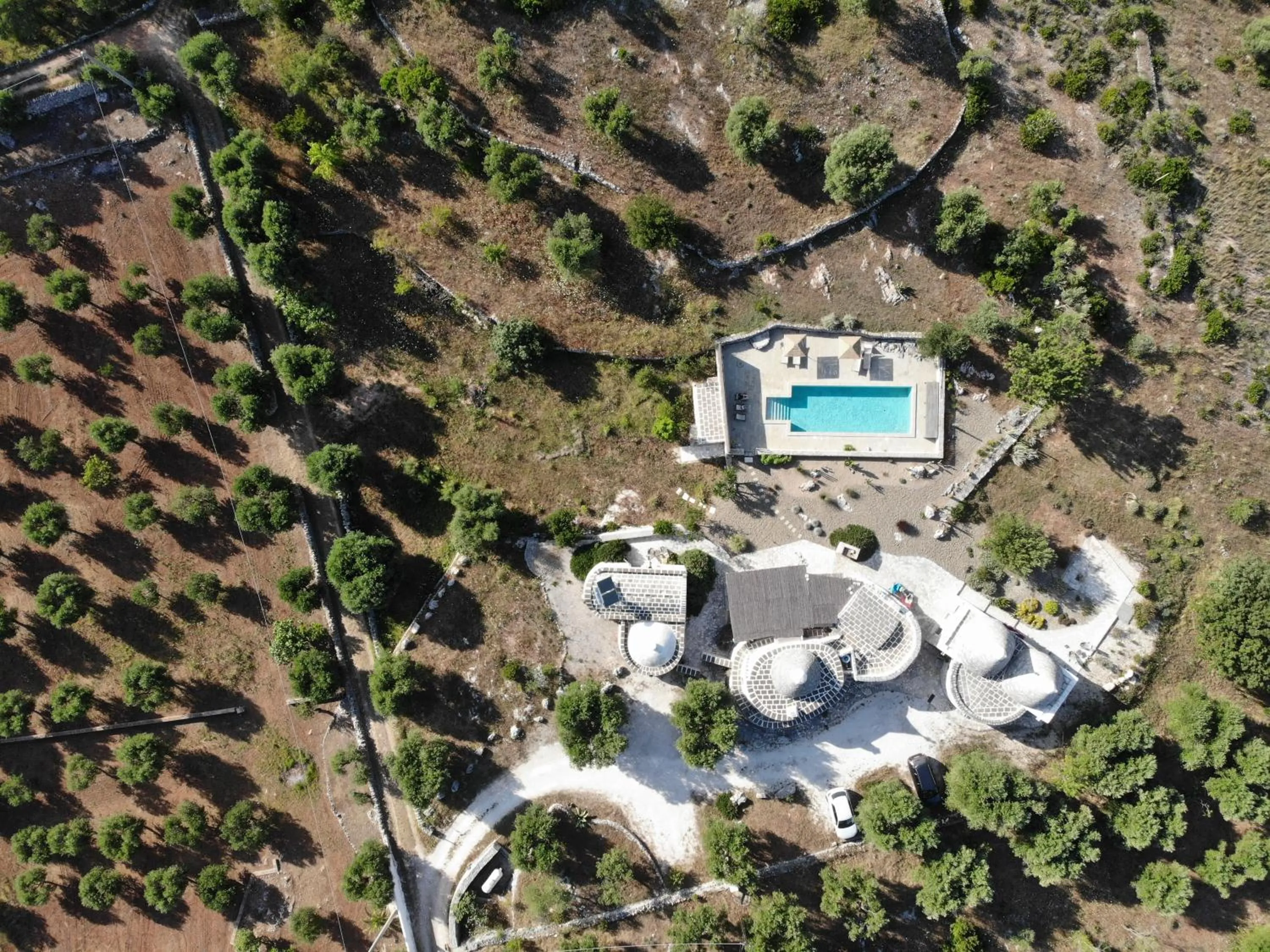 Bird's eye view in Regina di Ulivi