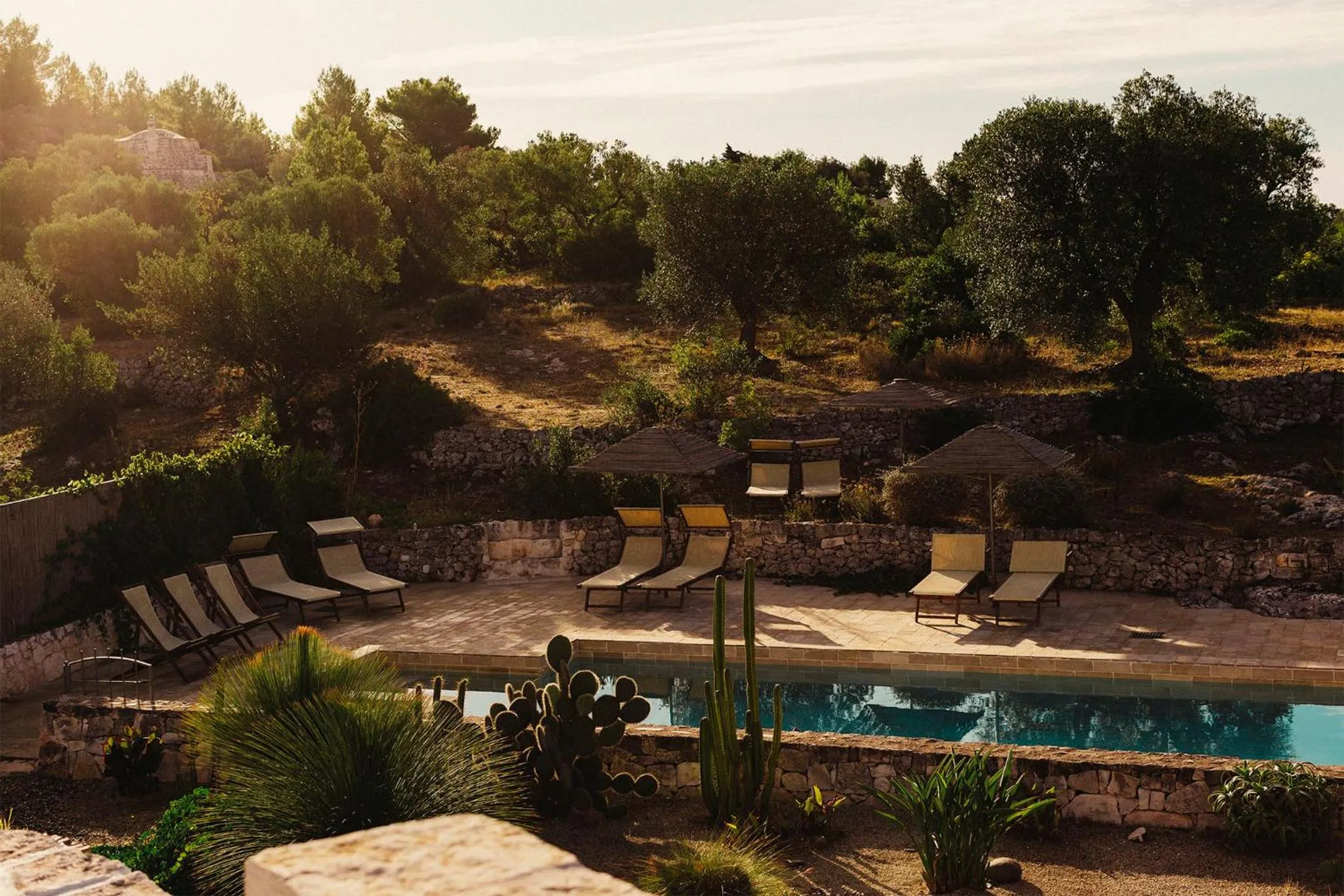 Swimming pool in Regina di Ulivi
