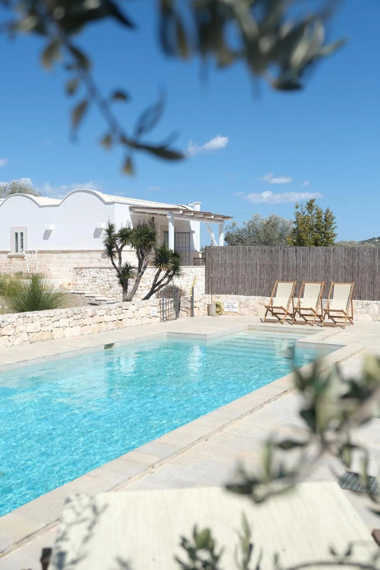 Swimming pool in Regina di Ulivi