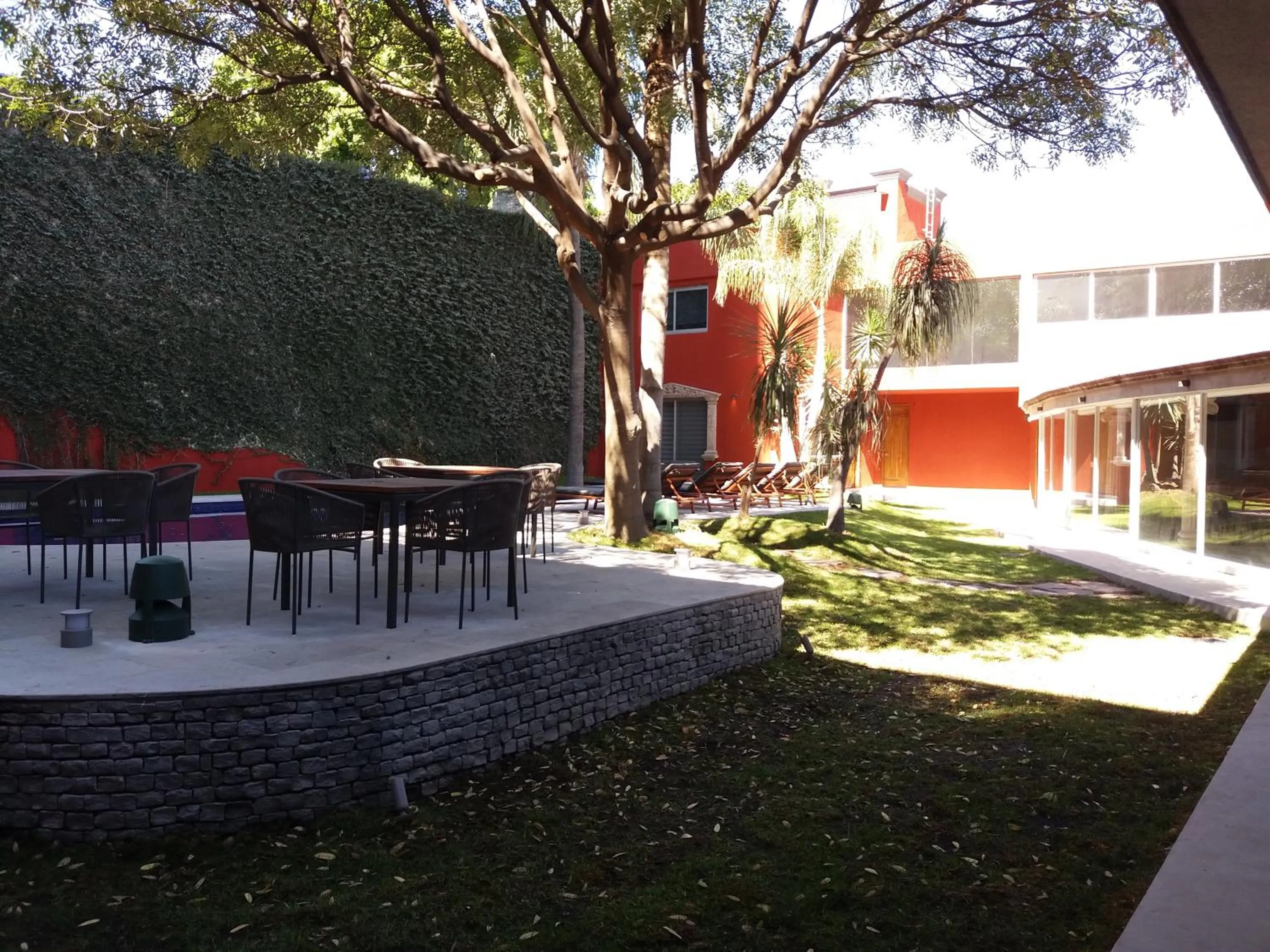 Garden in Hotel Boutique Abad