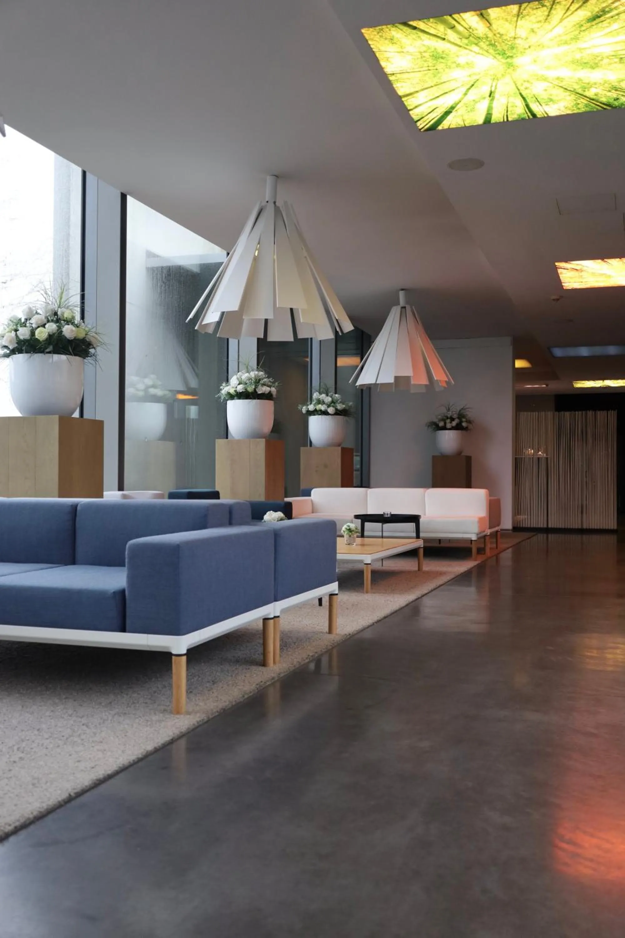 Living room in D-Hotel