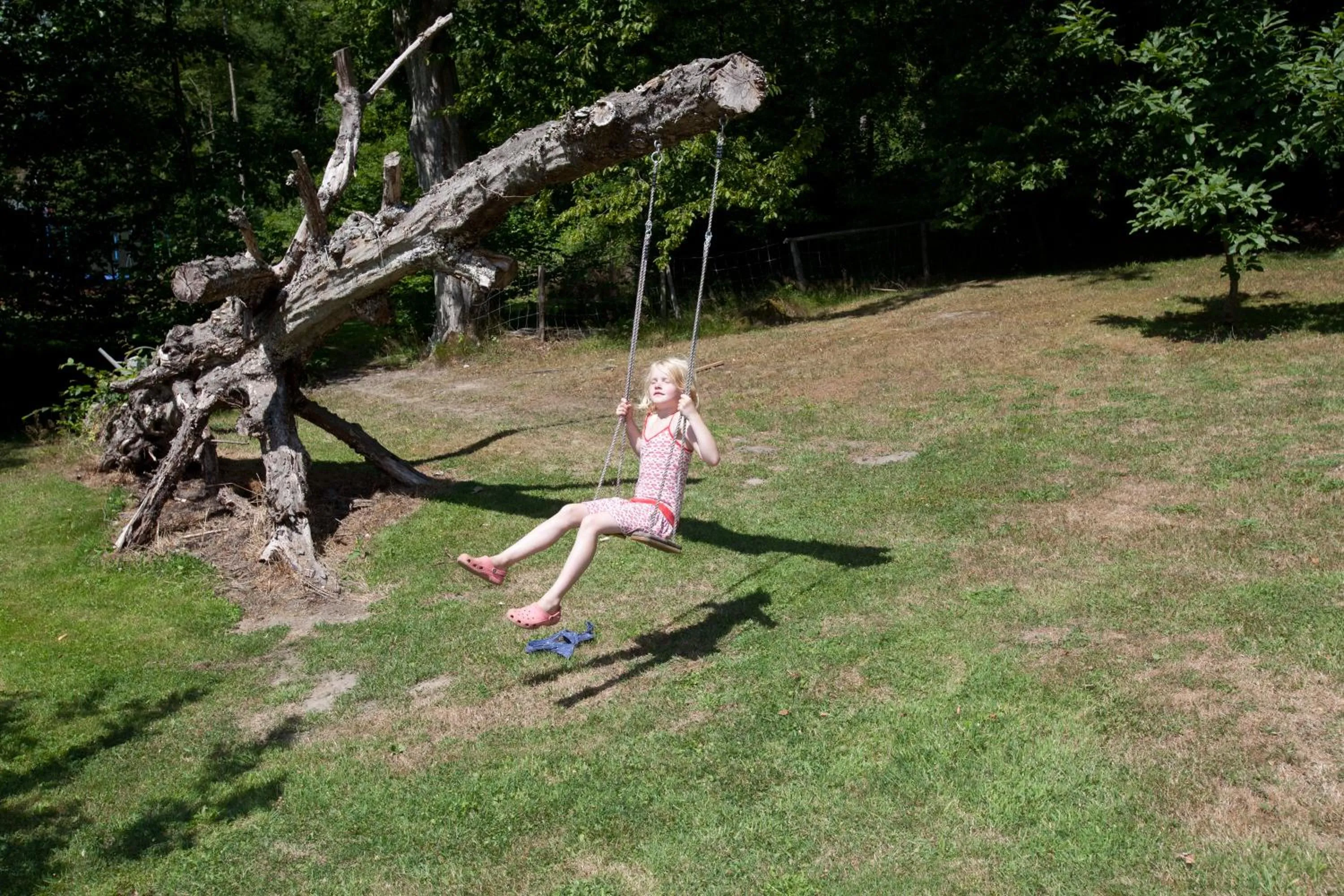 Garden in B&B-Restaurant Porte de la Lienne