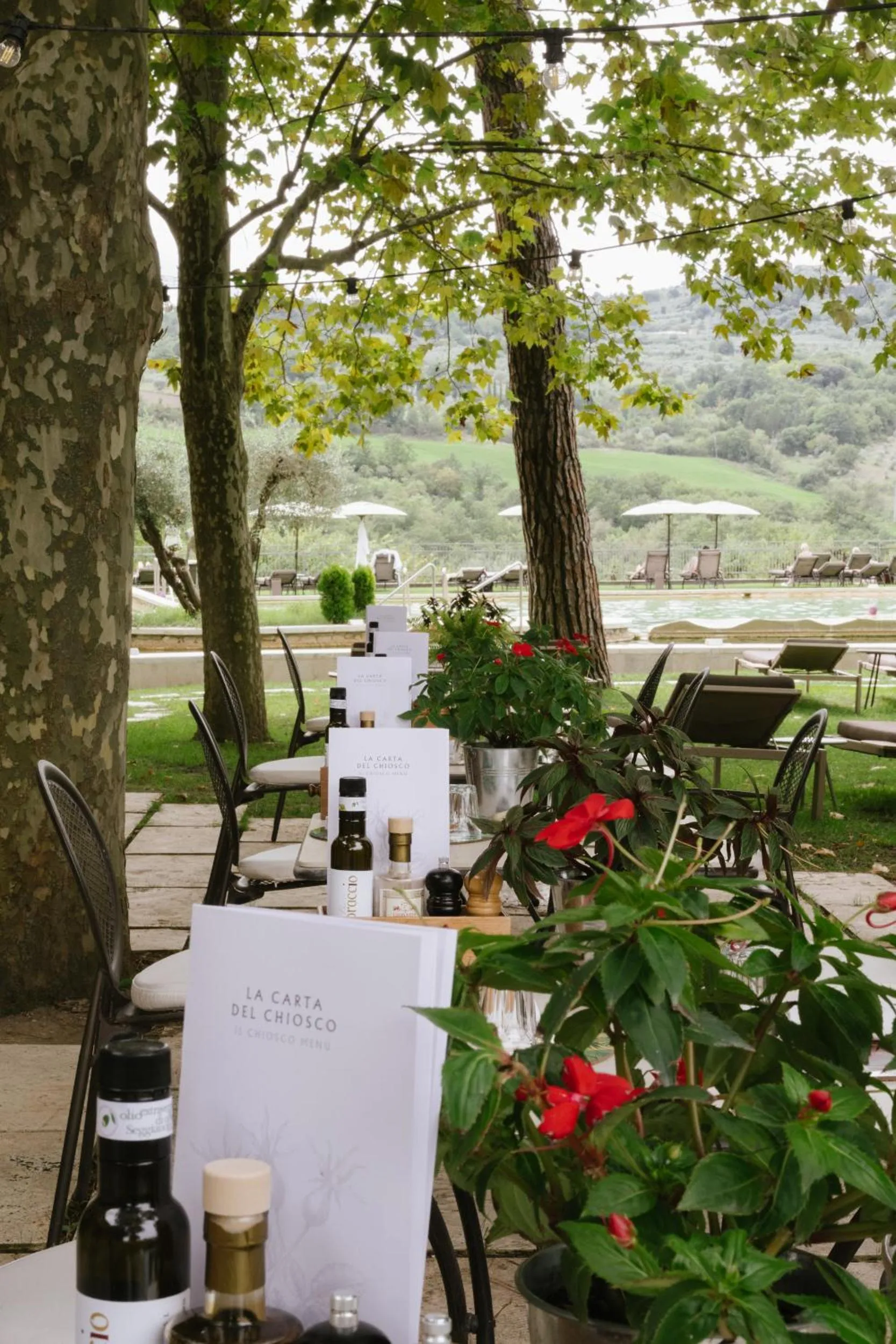 Lunch in La Posta Hotel & Thermal Spa