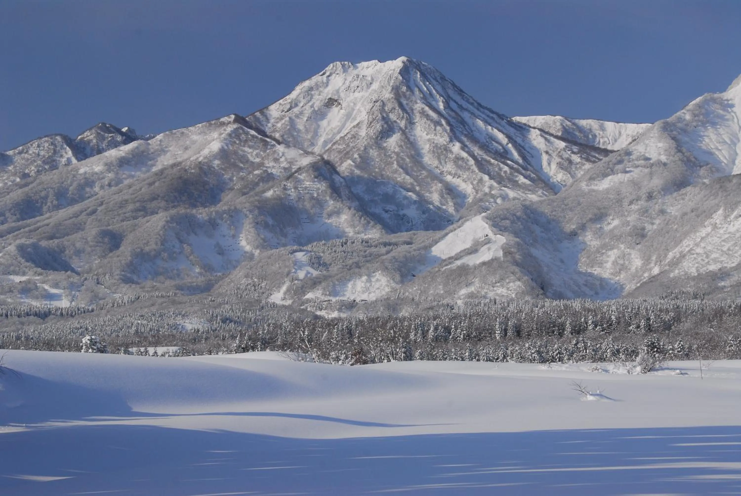 Winter in Pension Moomin Papa