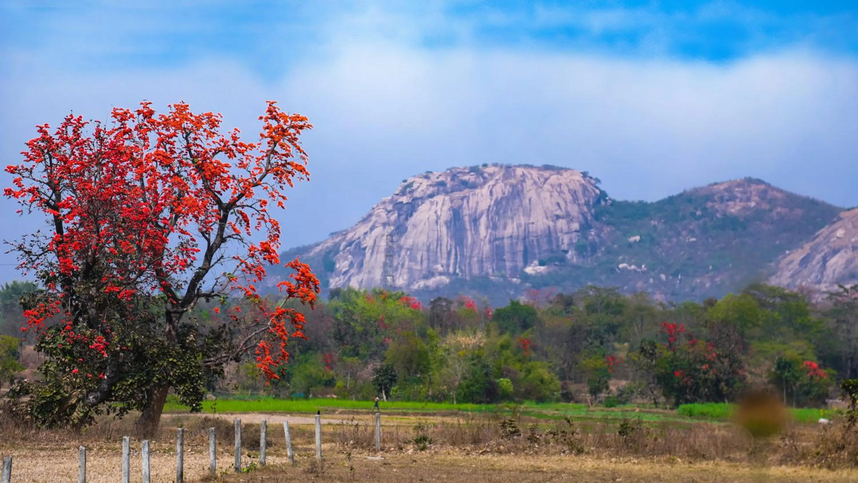 View (from property/room) in Eco Adventure Resorts Khhairabera