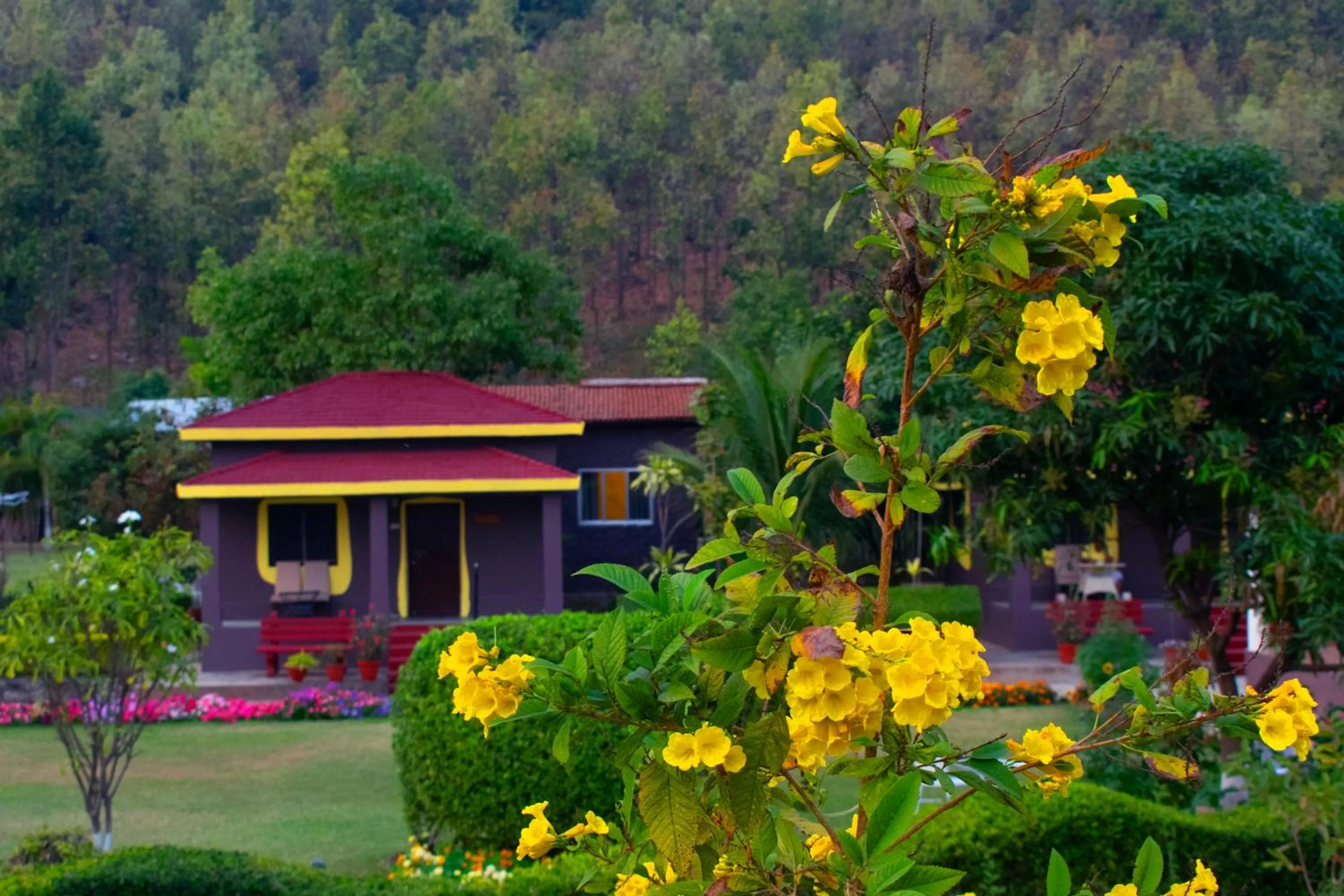 View (from property/room) in Eco Adventure Resorts Khhairabera