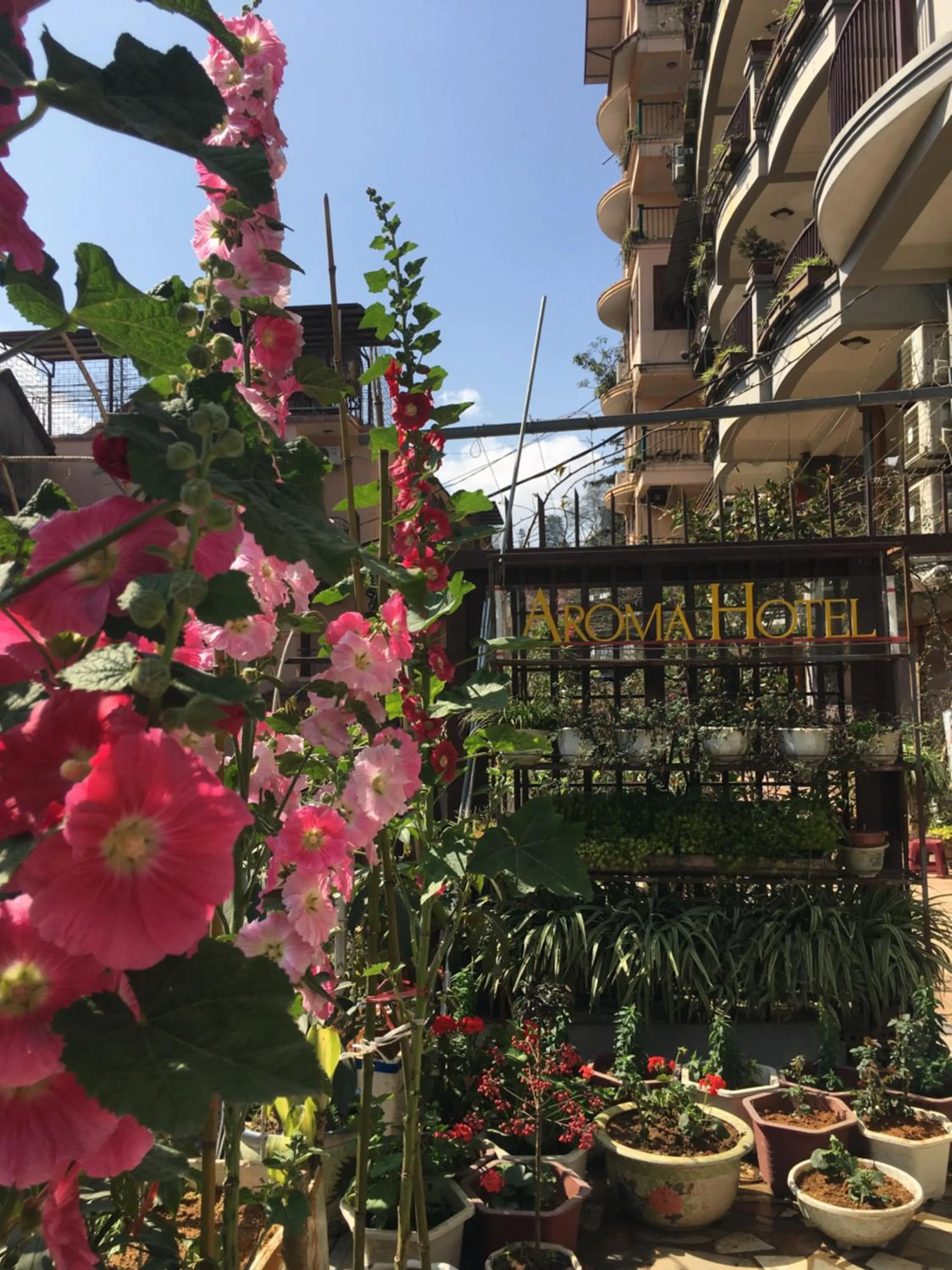 Garden in Sapa Aroma Hotel