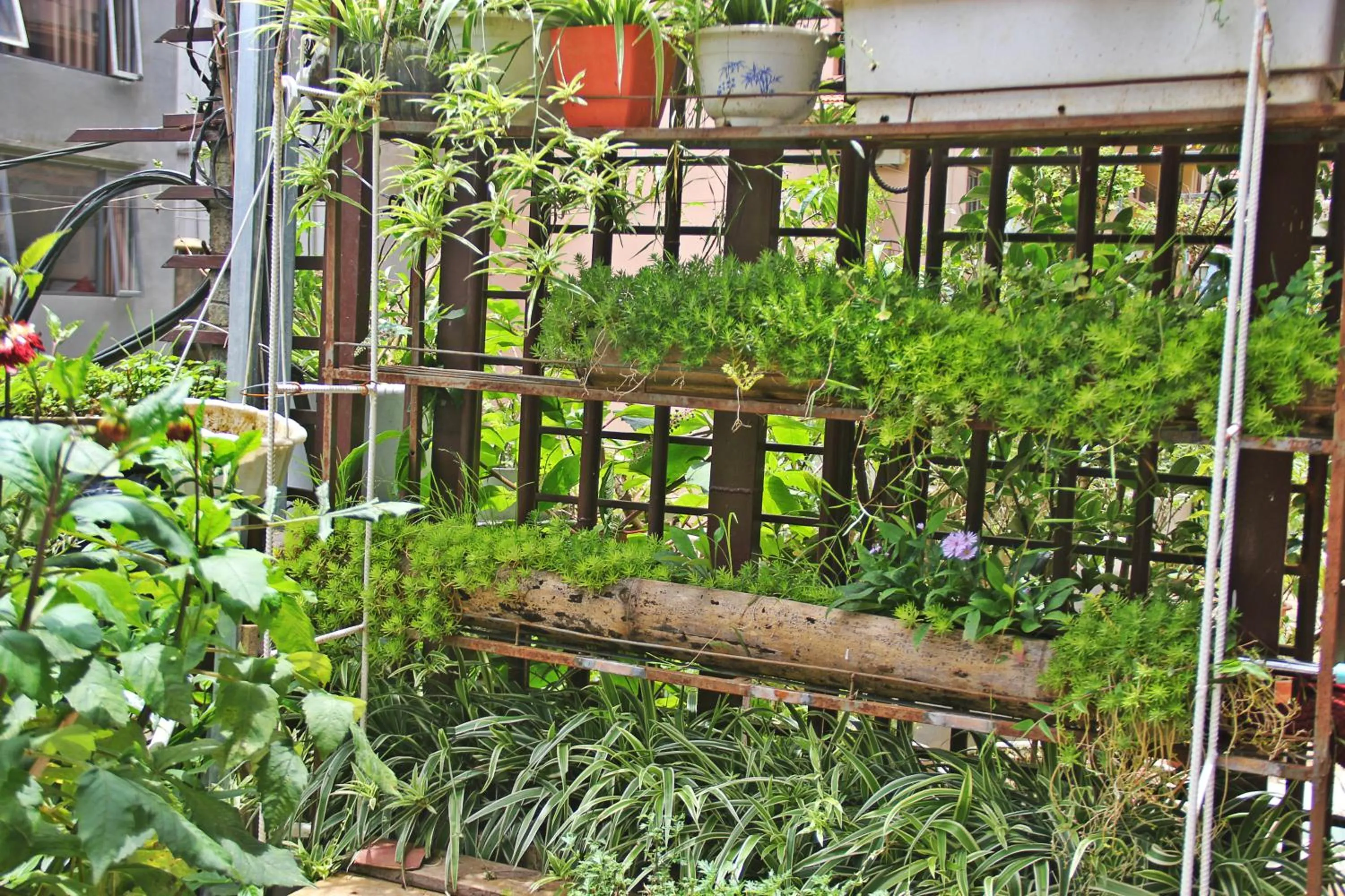Garden in Sapa Aroma Hotel