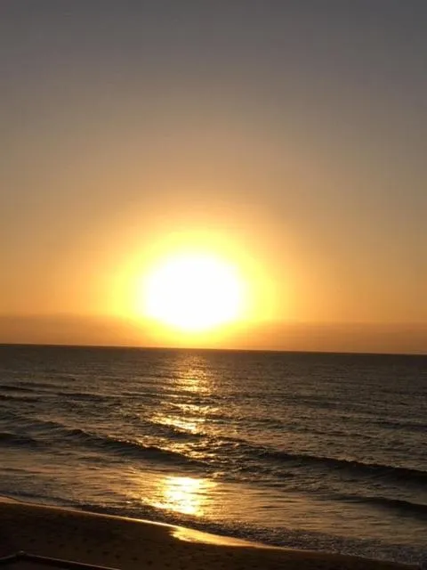 Beach in Don Pancho Beach Resort