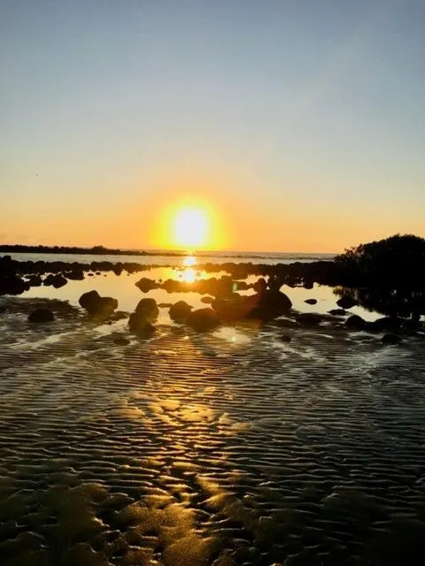 Natural landscape in Don Pancho Beach Resort