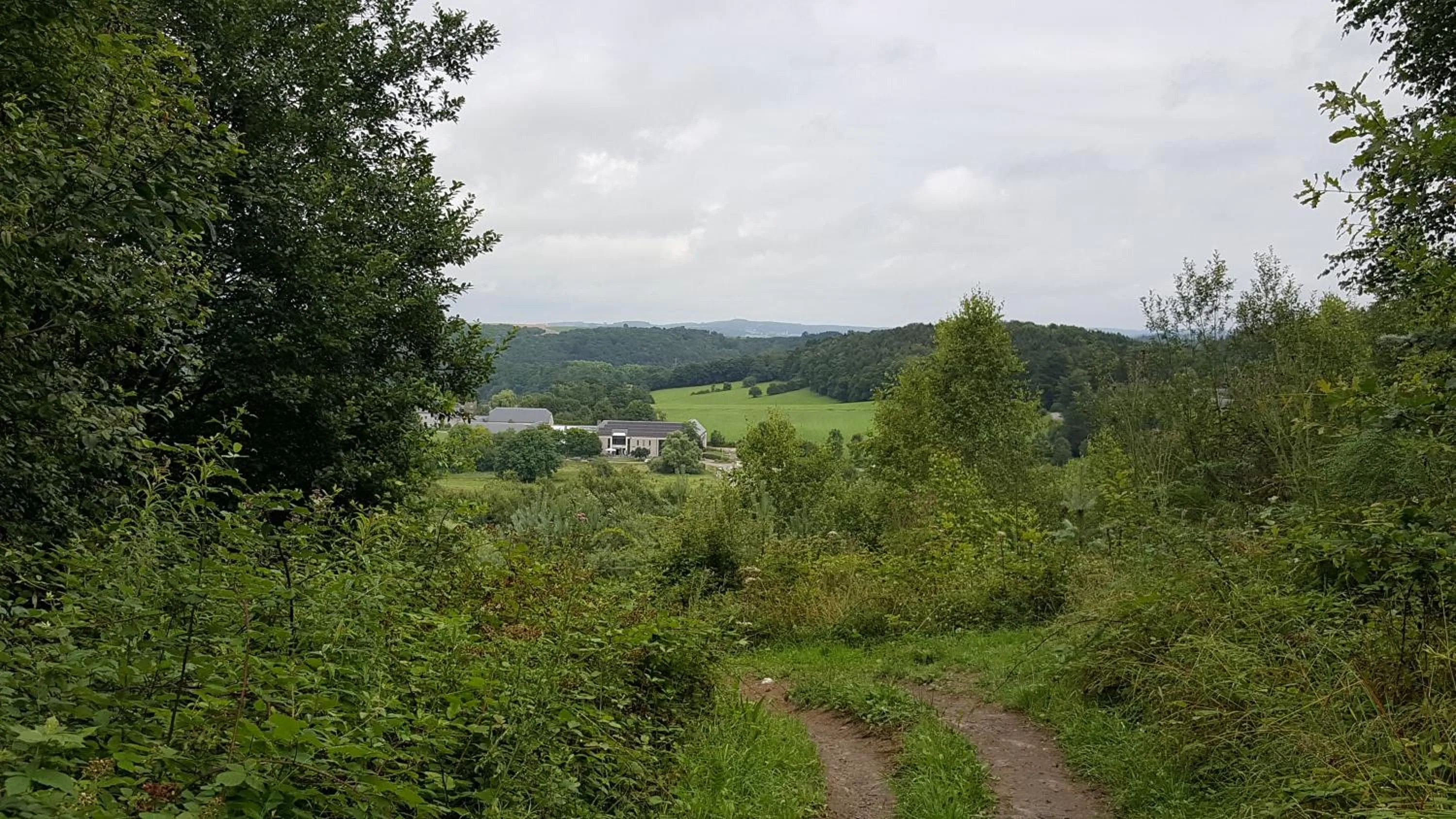 Natural landscape in B&B Barvaux, Durbuy