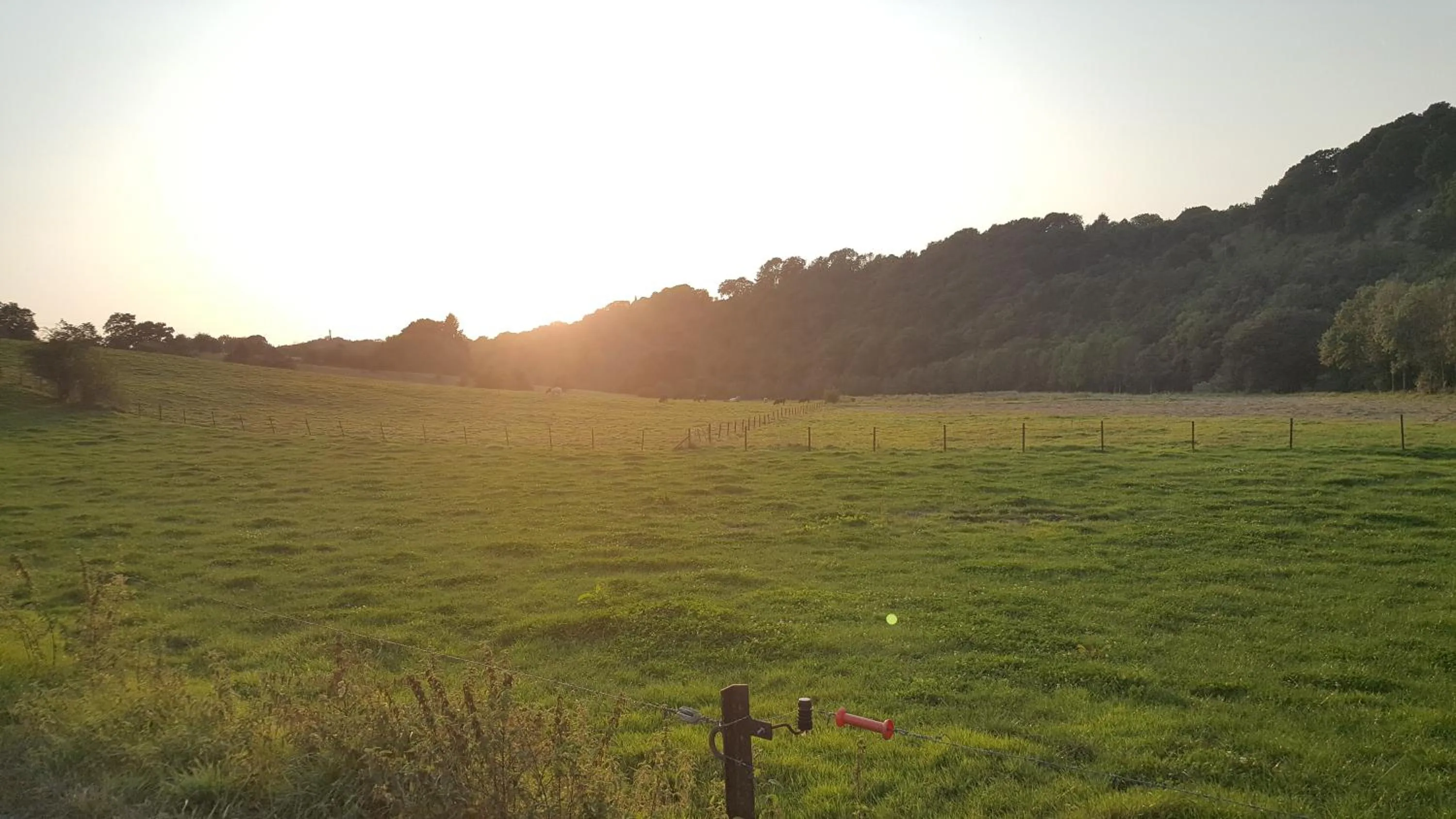 Natural landscape in B&B Barvaux, Durbuy