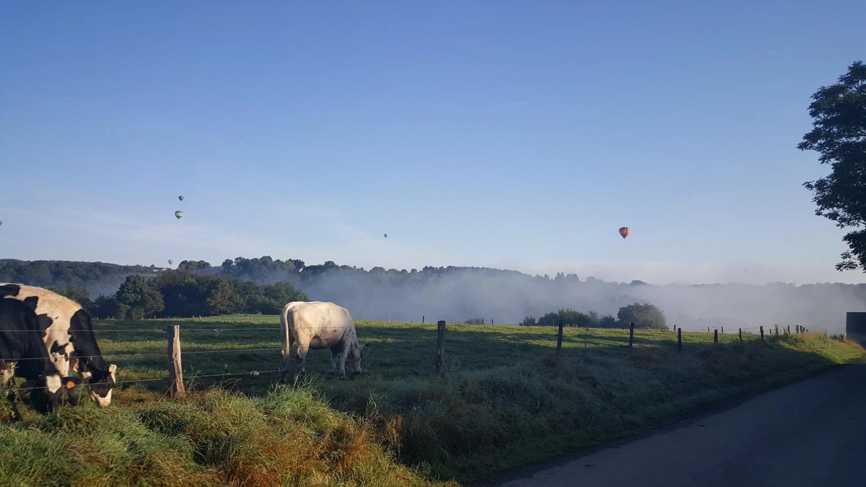 View (from property/room) in B&B Barvaux, Durbuy