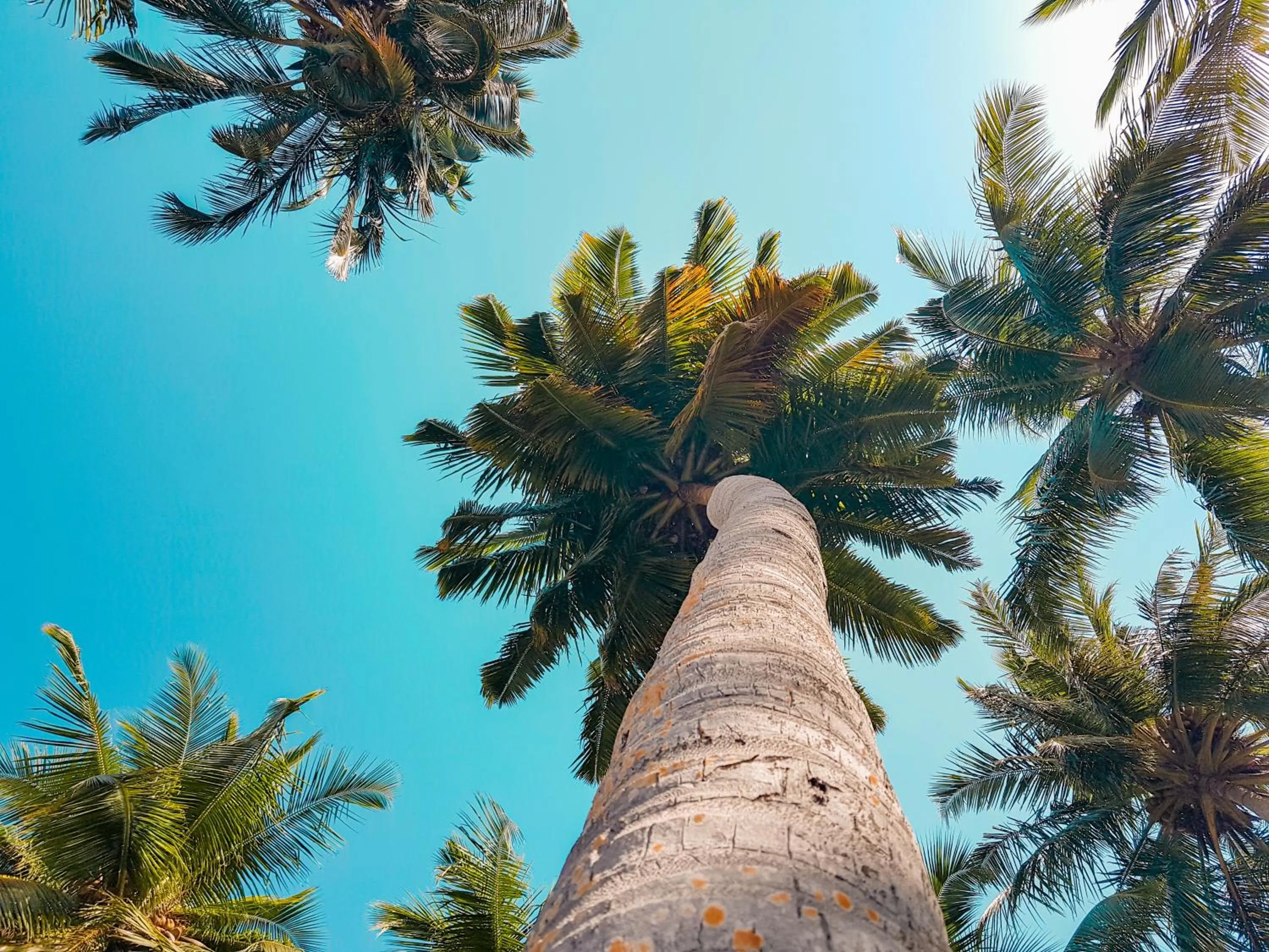 Natural landscape in West Sands