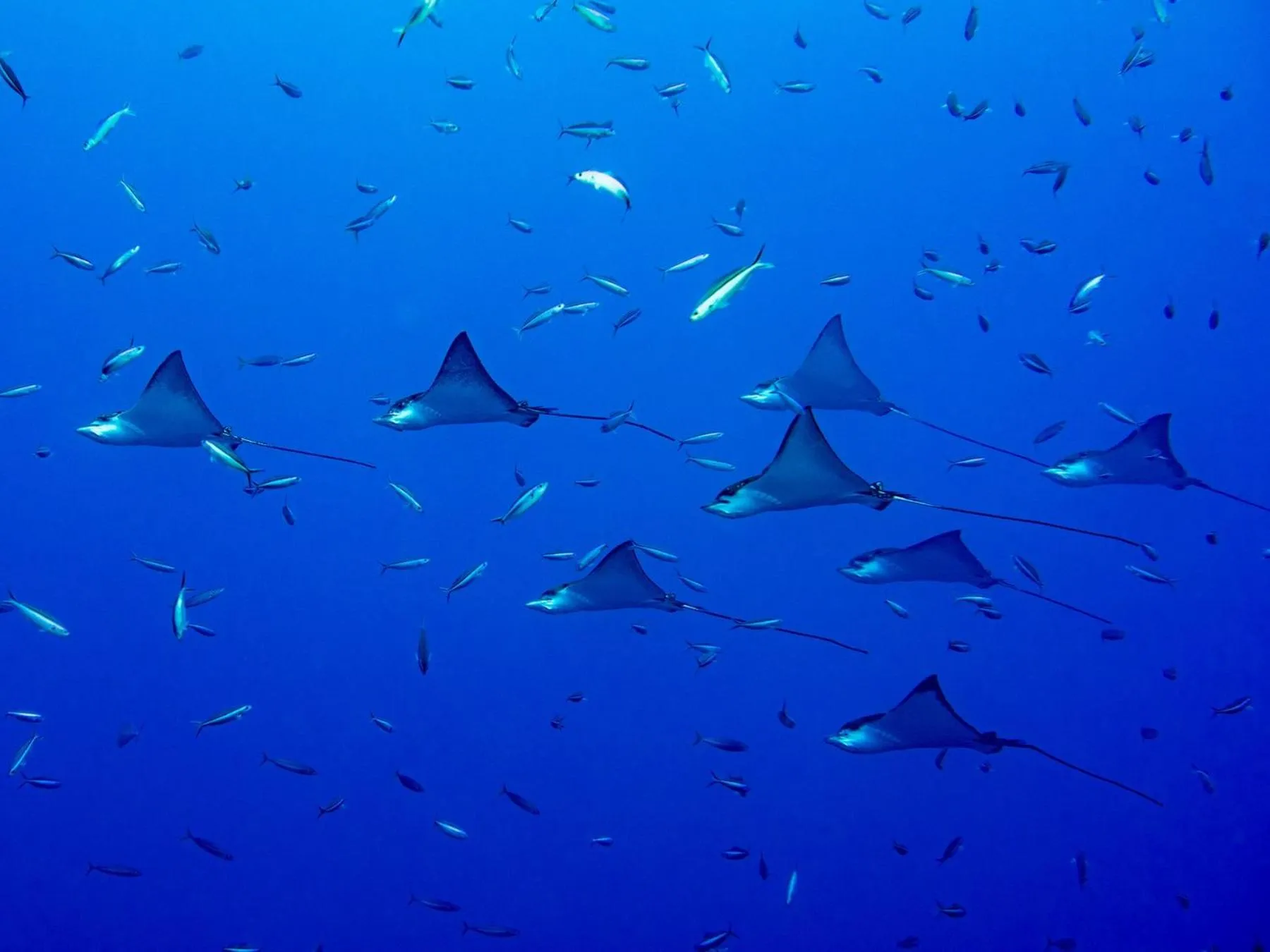 Neighbourhood in West Sands