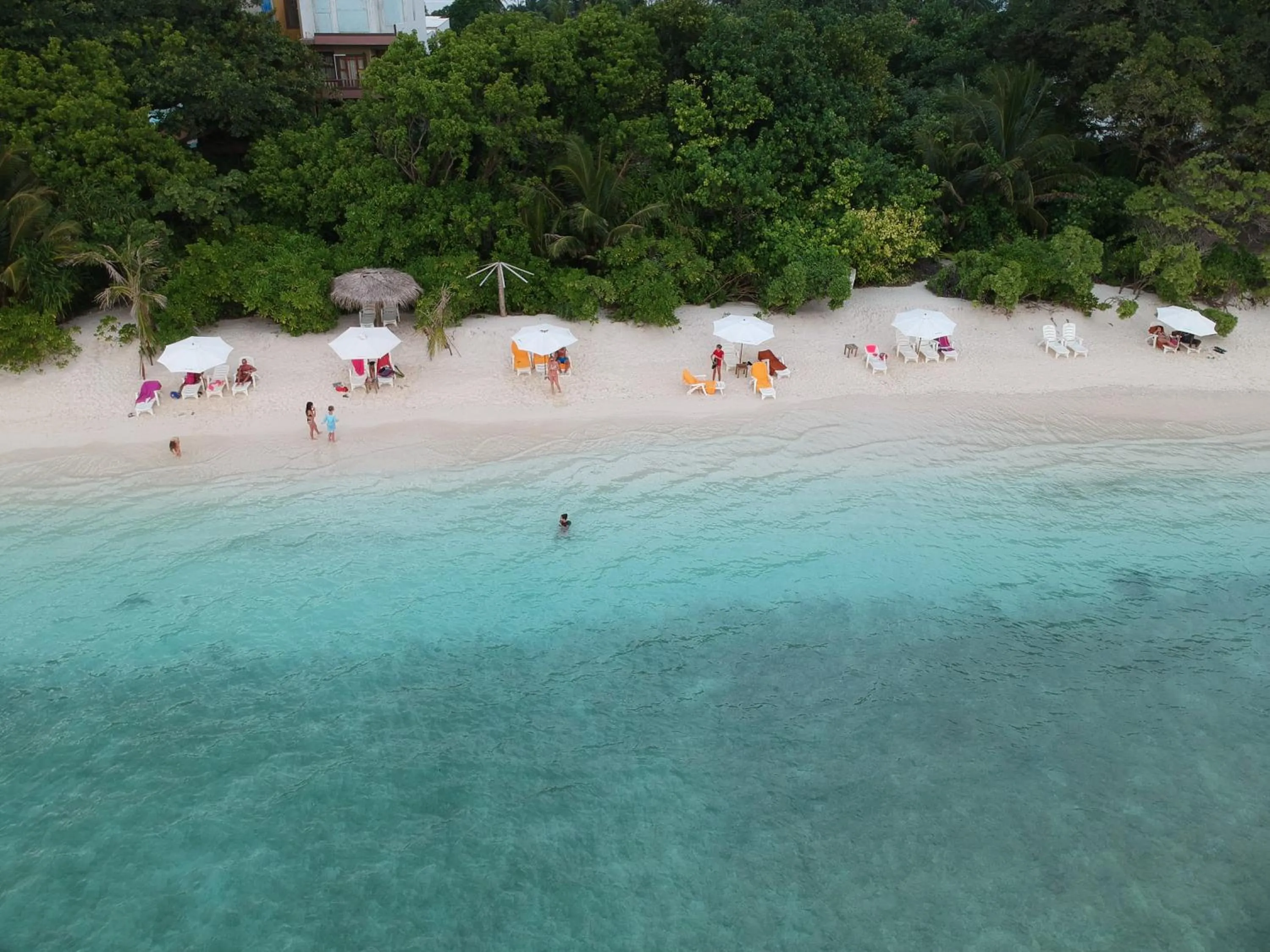Bird's eye view in West Sands