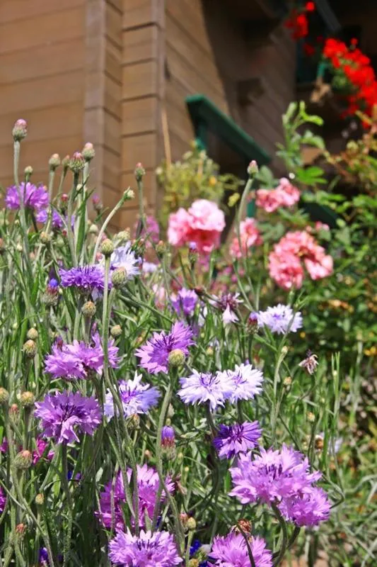 Garden in Landhaus Hubert Fiegl