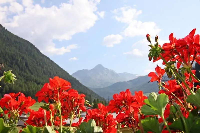 Balcony/Terrace in Landhaus Hubert Fiegl