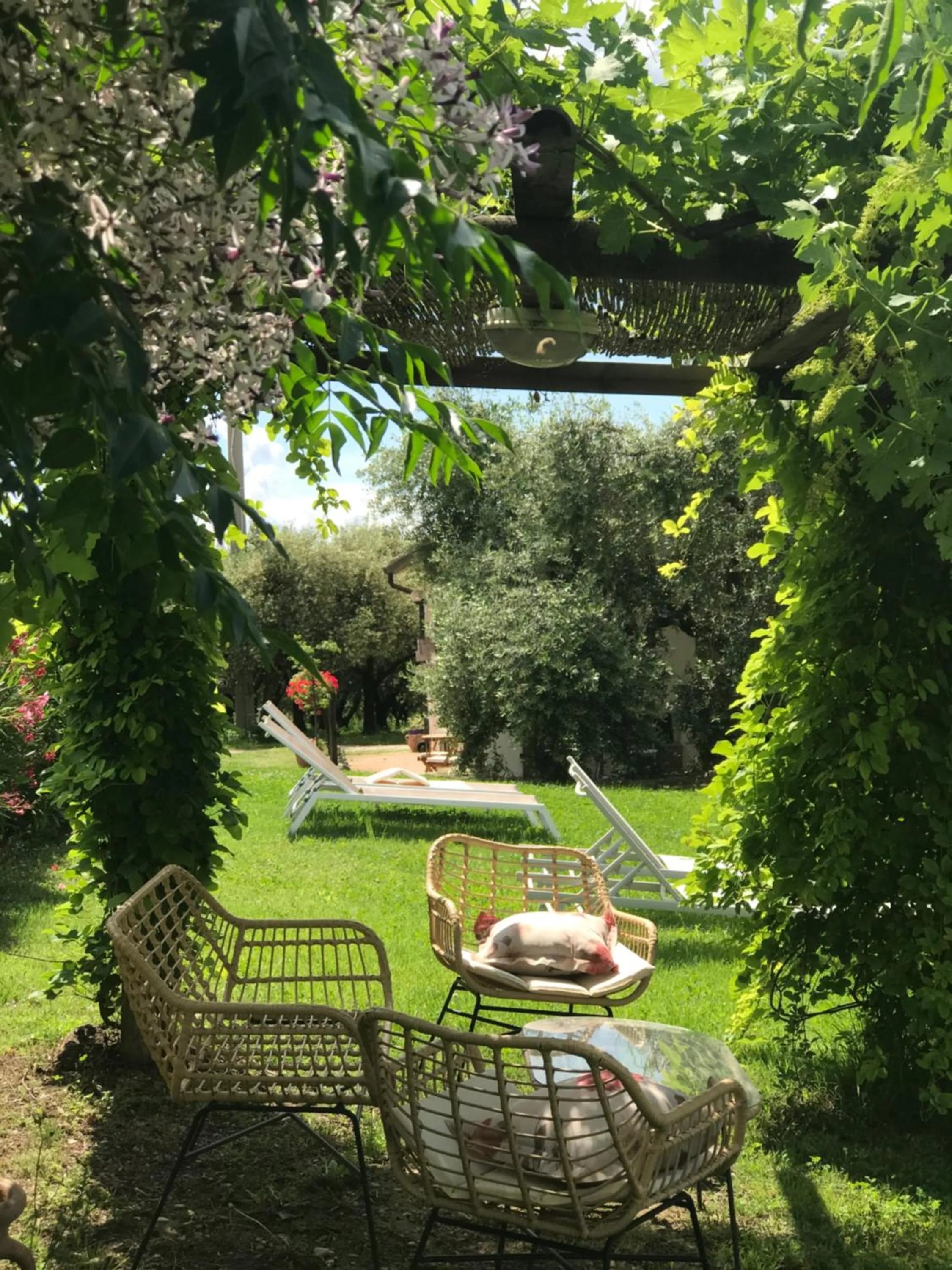 Garden in Agriturismo B&B Le Casette sul Garda