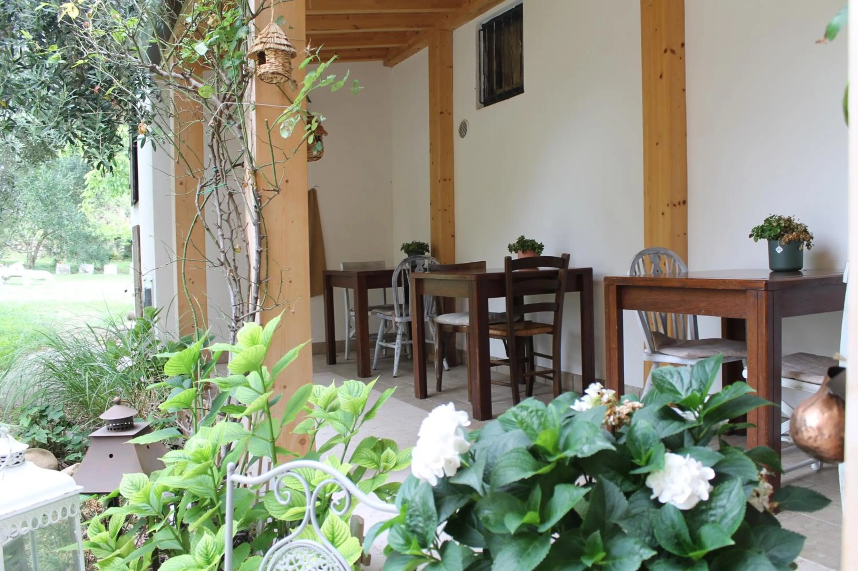 Garden in Agriturismo B&B Le Casette sul Garda