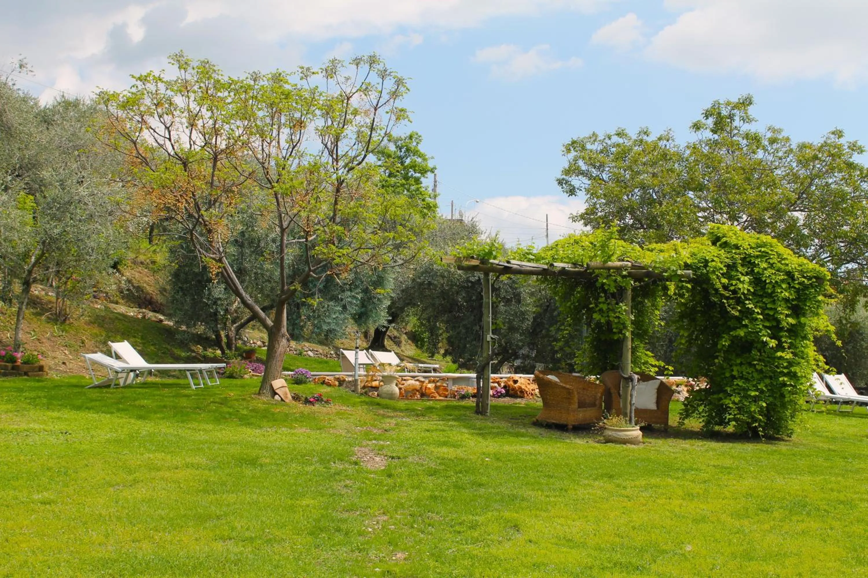 Garden in Agriturismo B&B Le Casette sul Garda