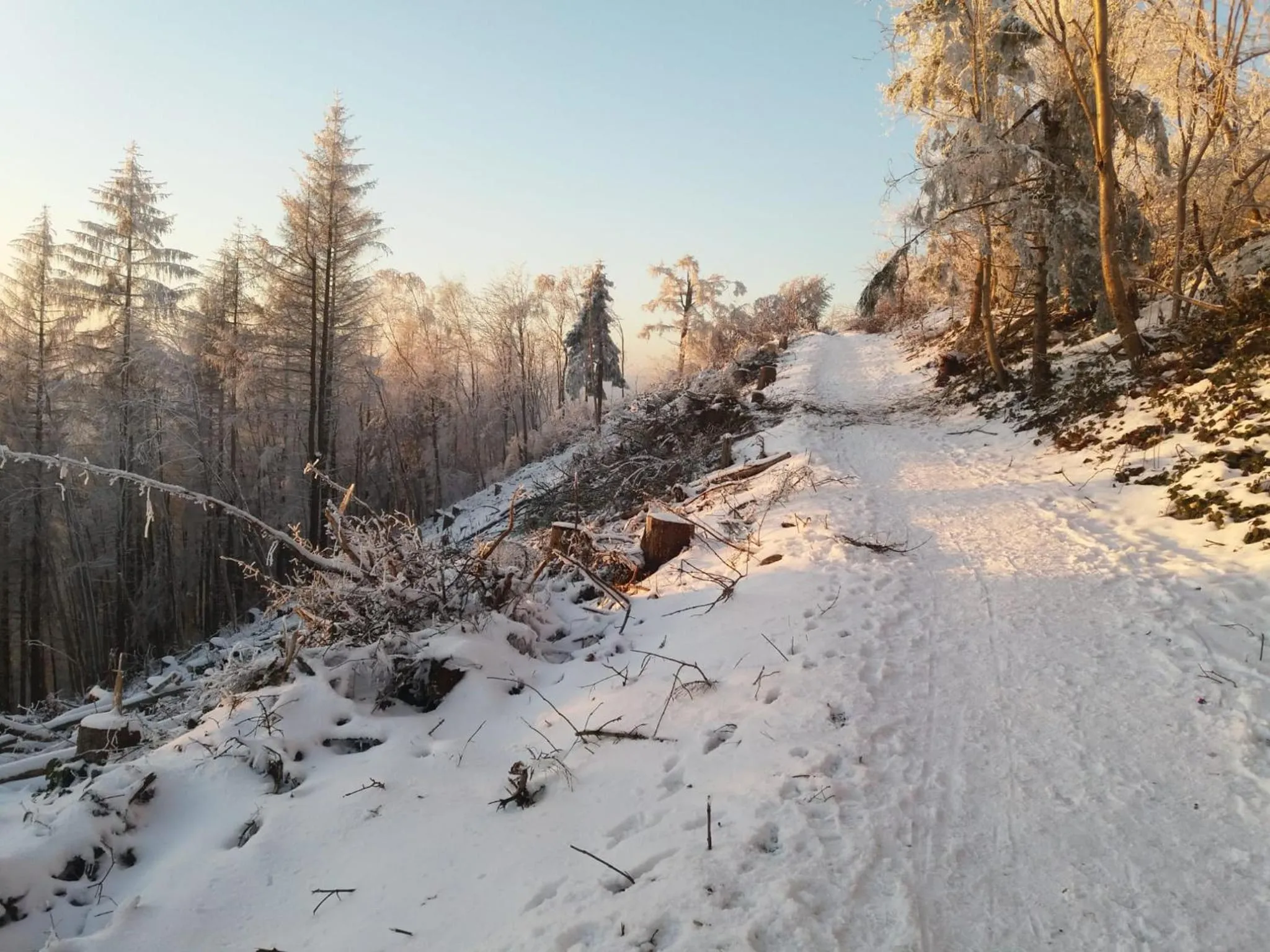 Natural landscape in Klosterhotel Walkenried