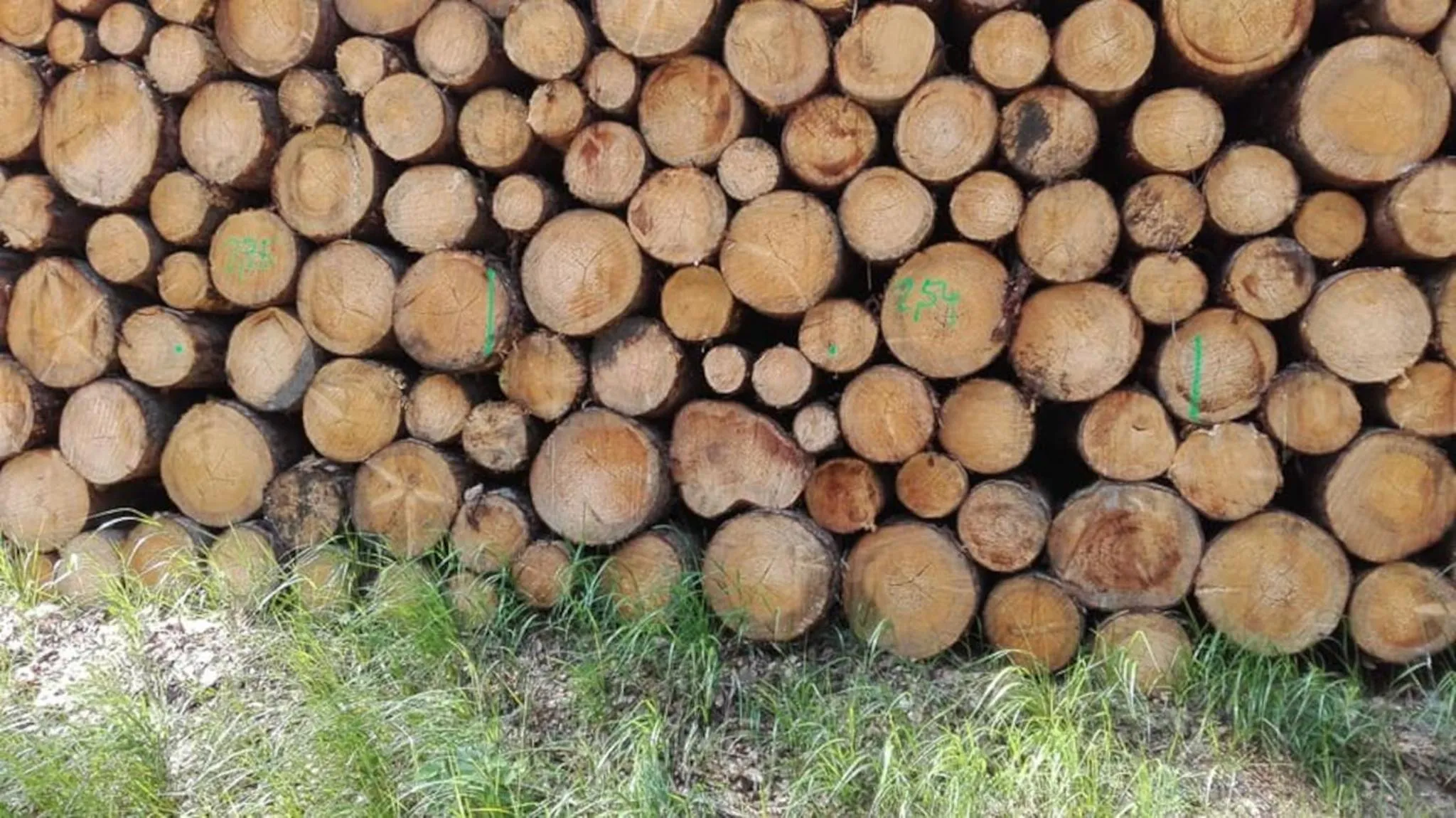 Natural landscape in Klosterhotel Walkenried