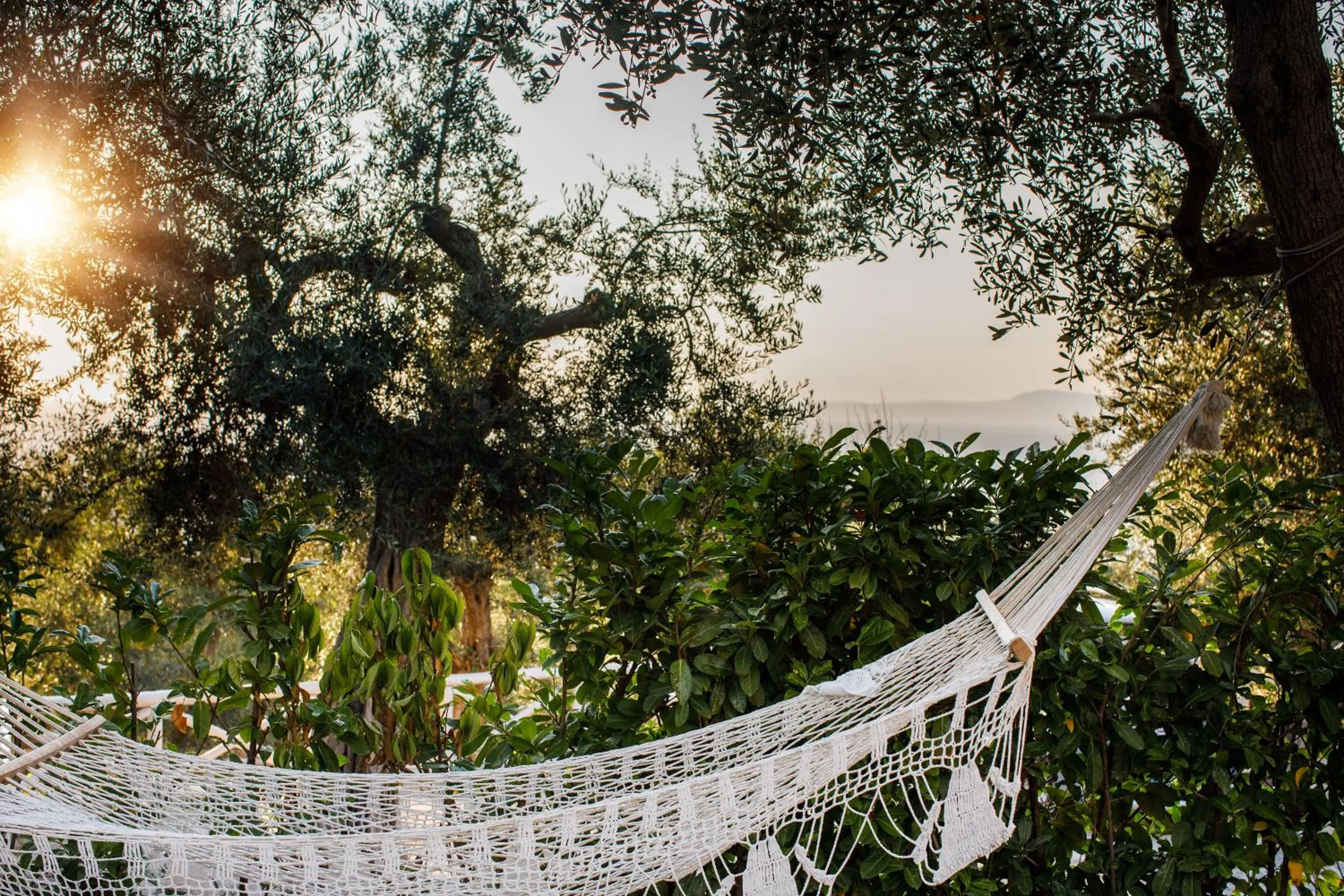 Bird's eye view in MelRose Relais