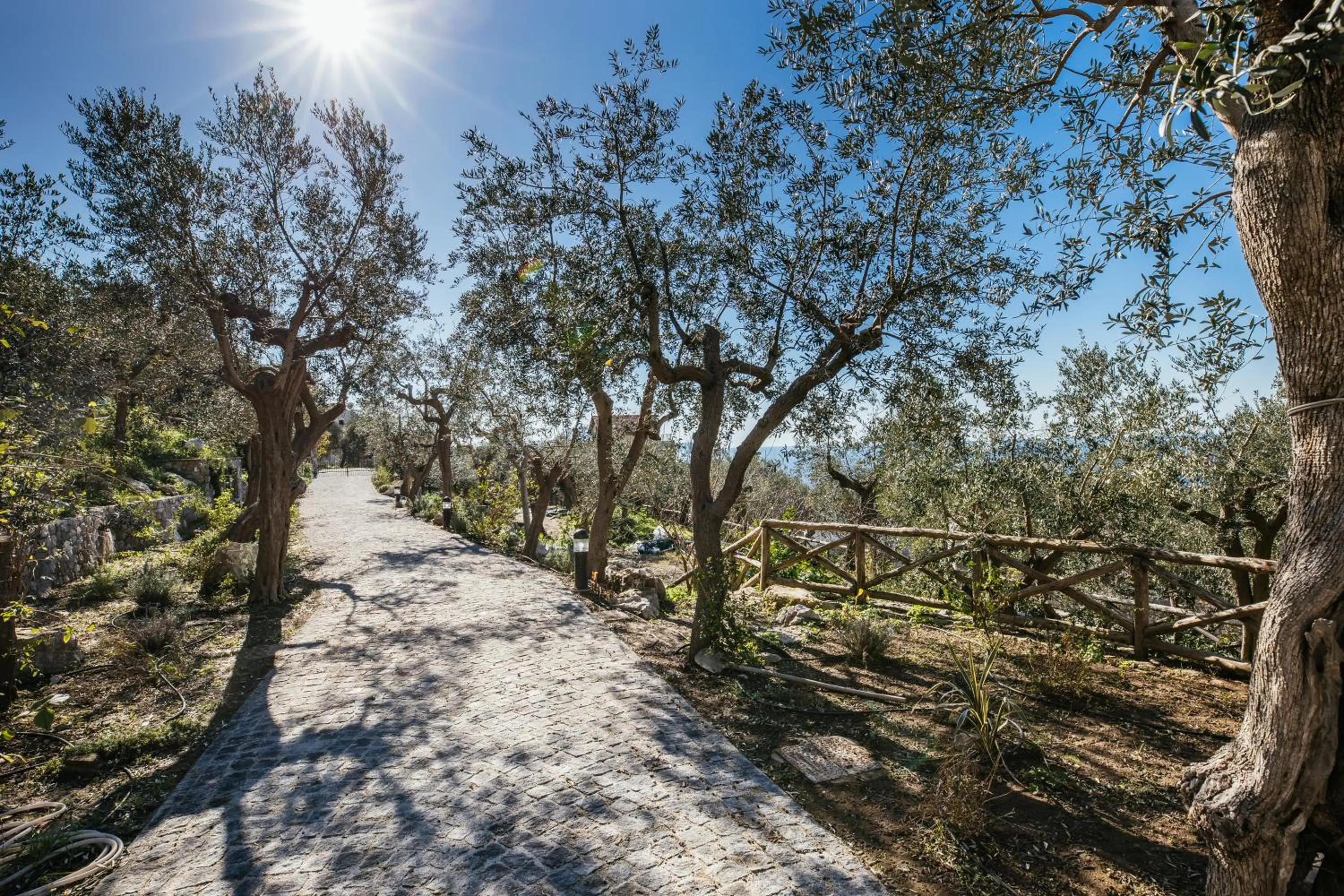 Garden in MelRose Relais