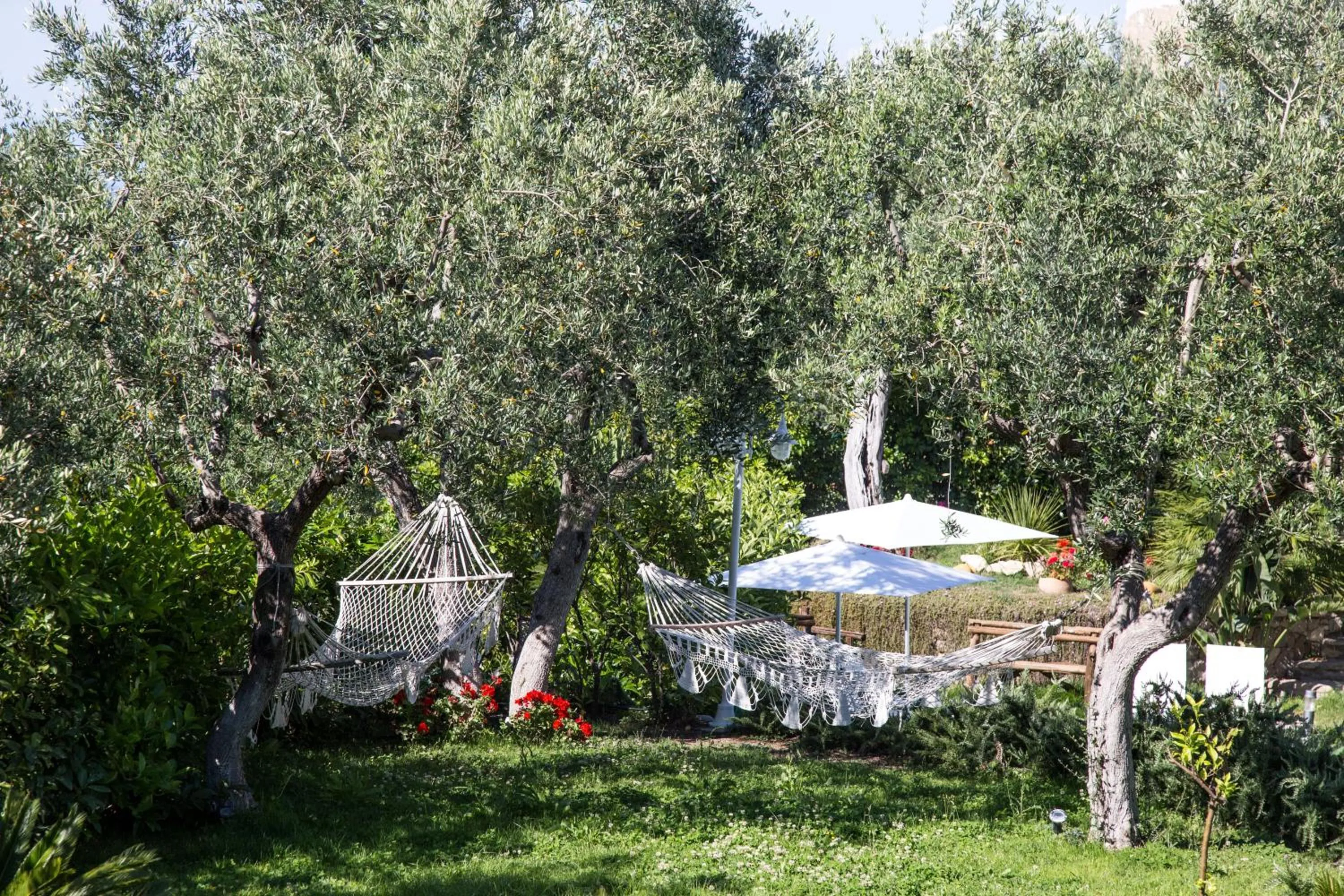 Bird's eye view in MelRose Relais