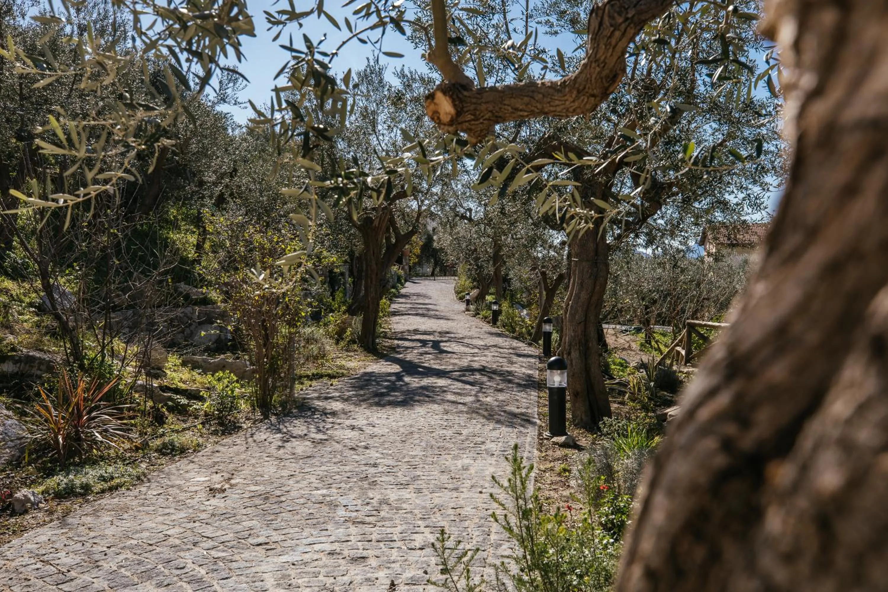 Garden view in MelRose Relais