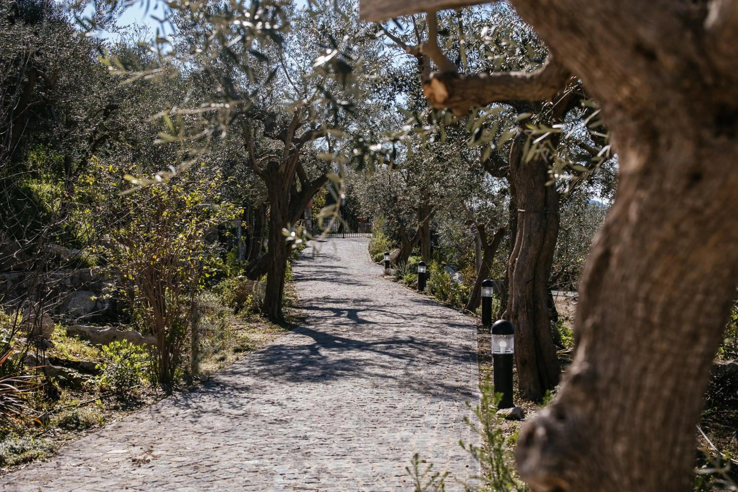 Garden view in MelRose Relais