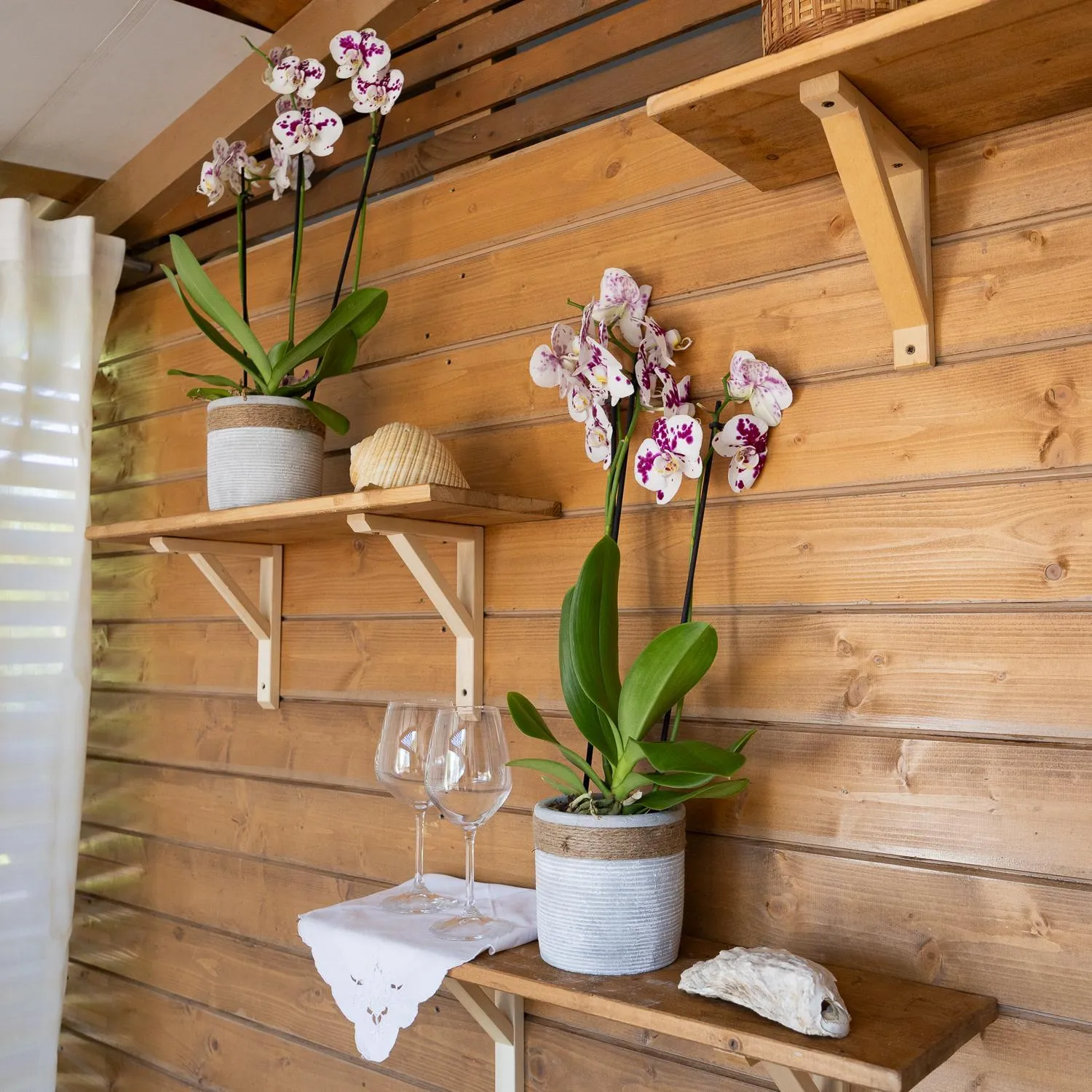 Property building in Ciriga Sicily Glamping