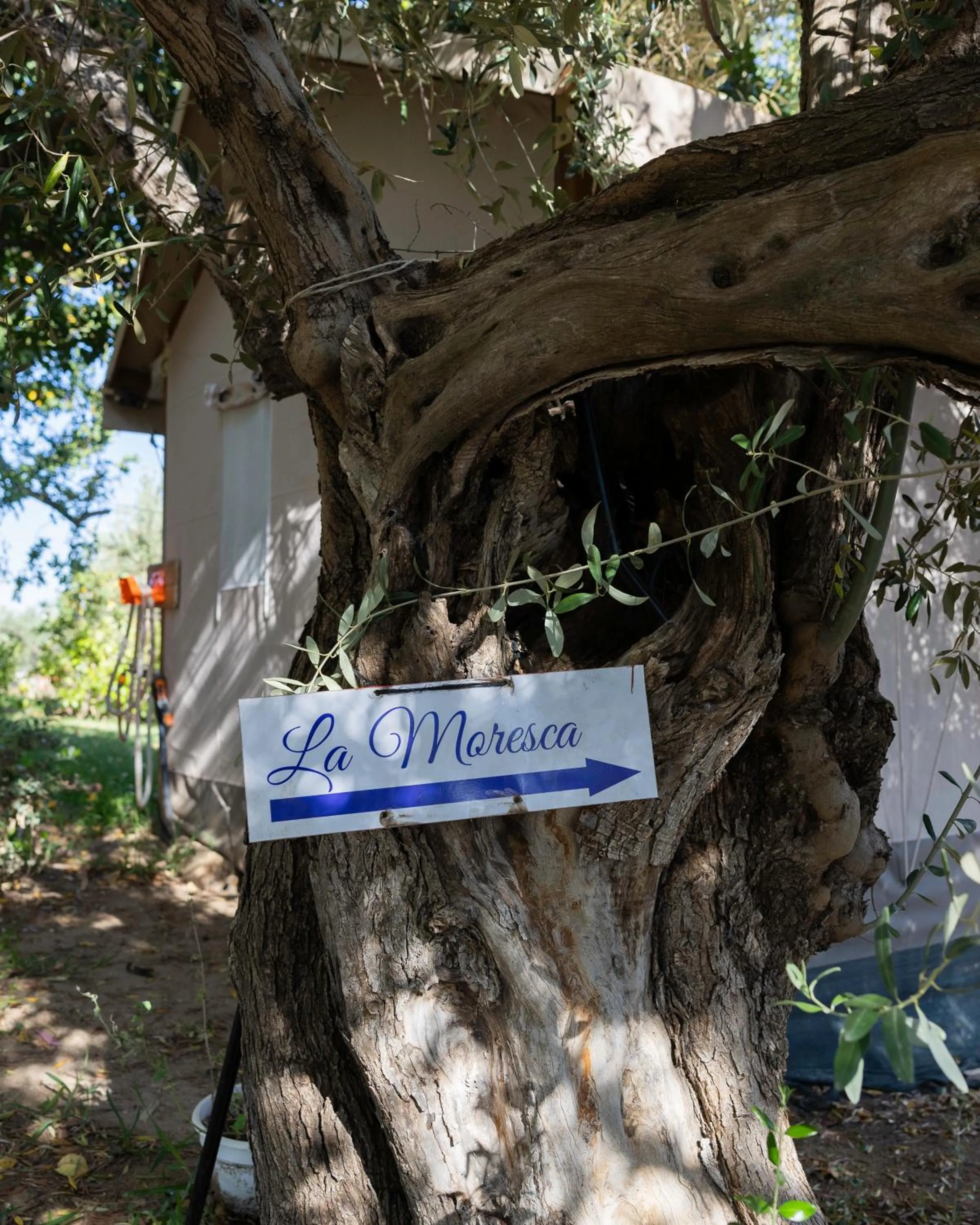 Property building in Ciriga Sicily Glamping